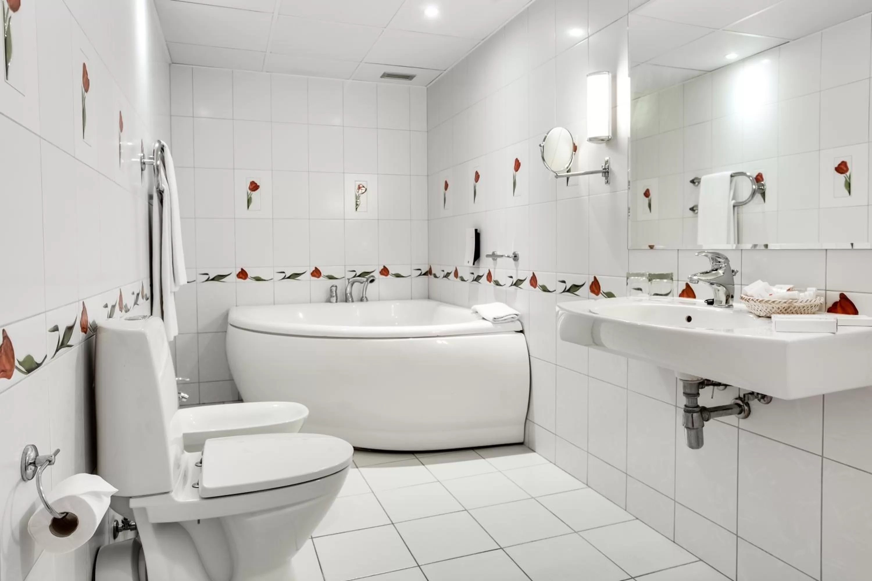 Shower in Hotel Tigra