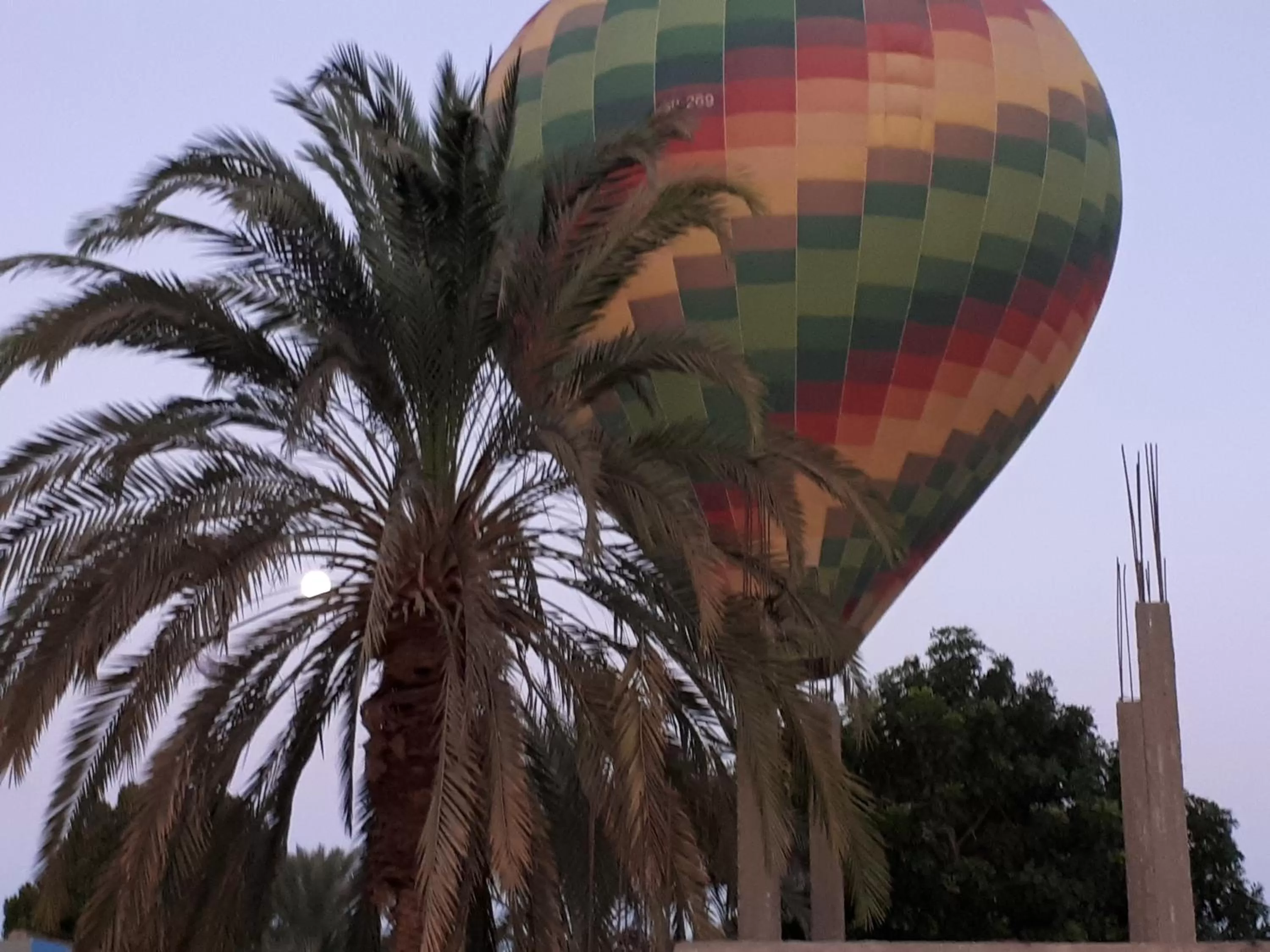 Property Building in Sunflower Guest House Luxor West Bank