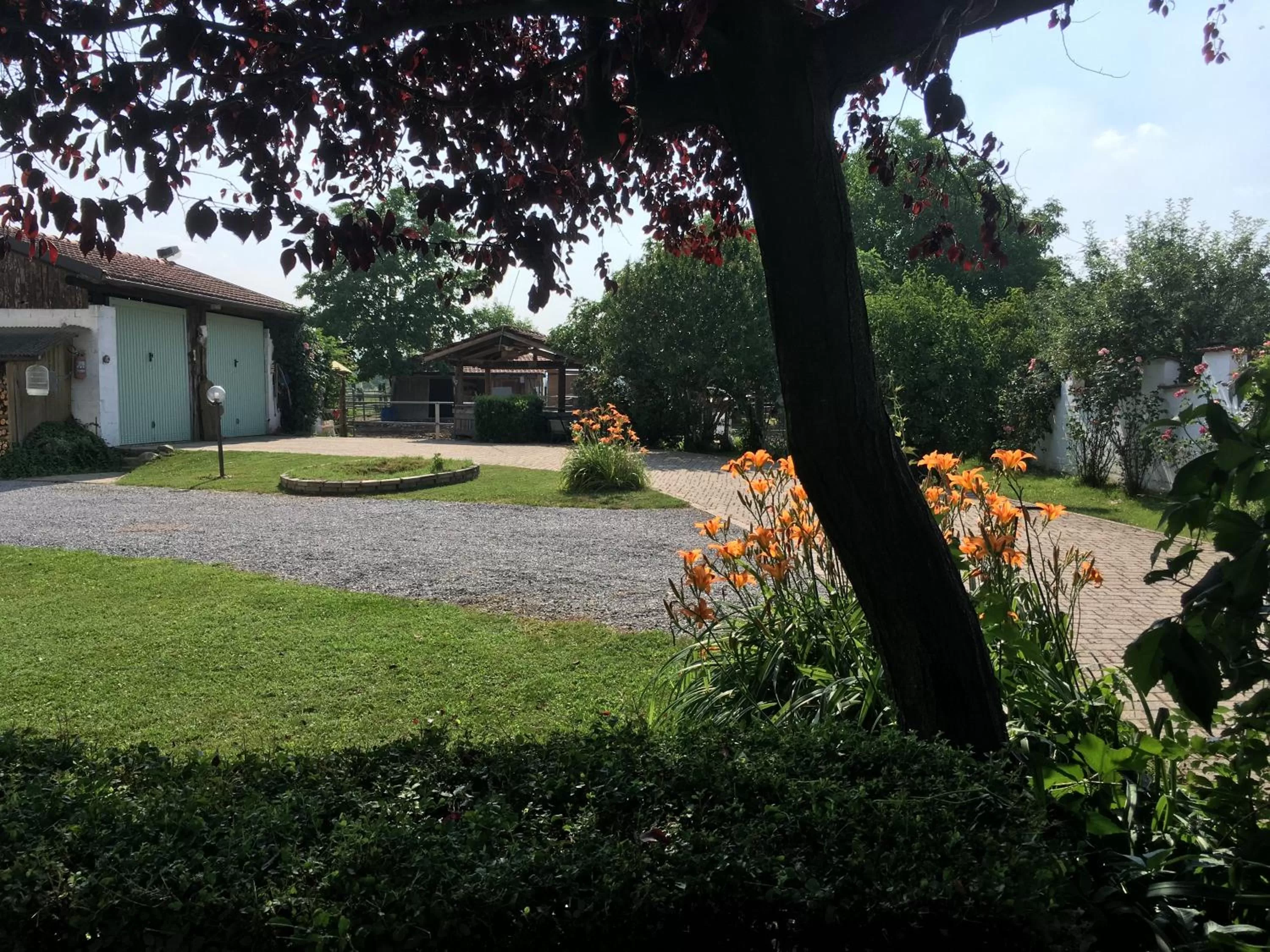 Property building in B&B CM Ranch