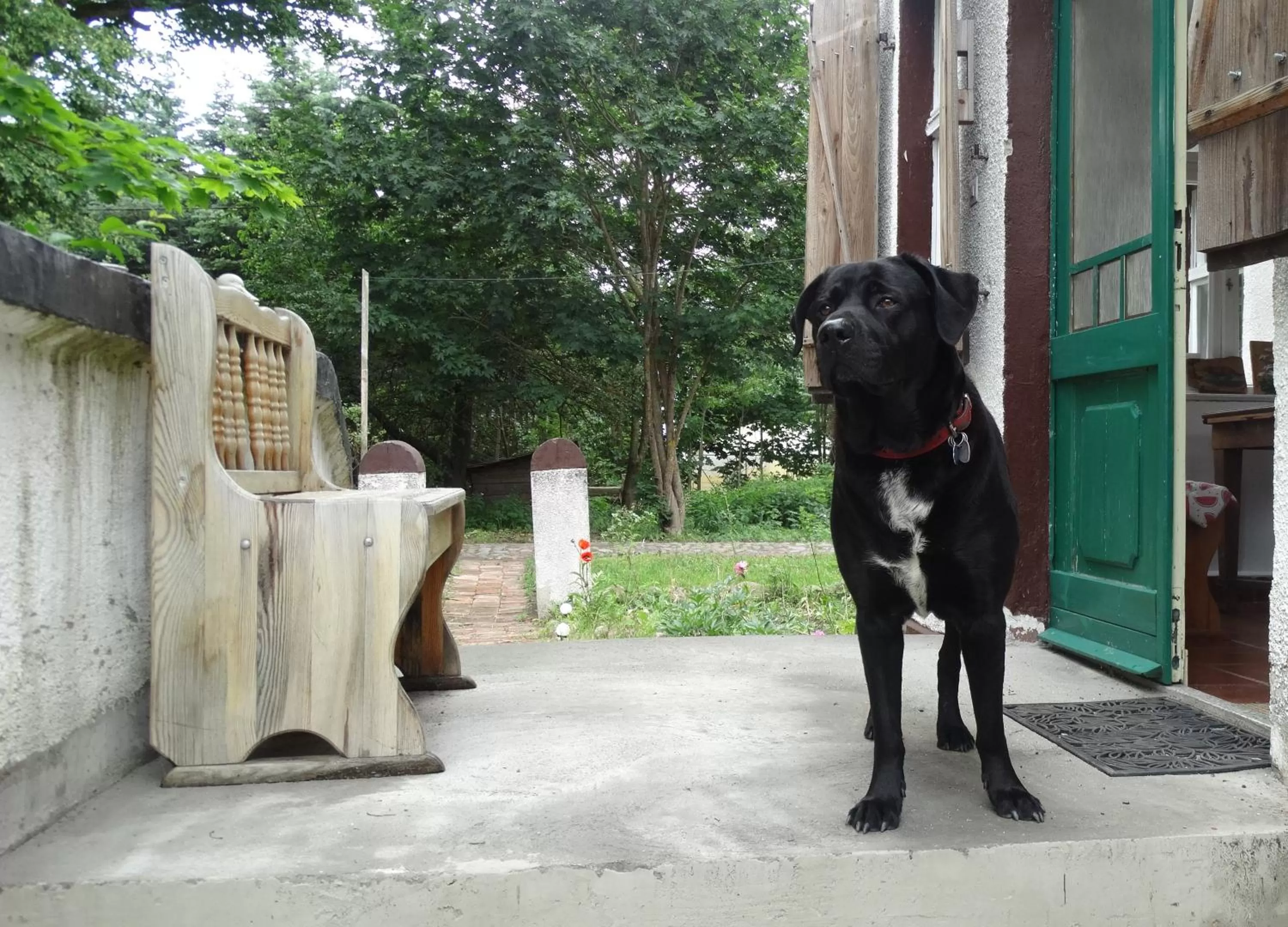 Day in Dom na Mazurach Pilec