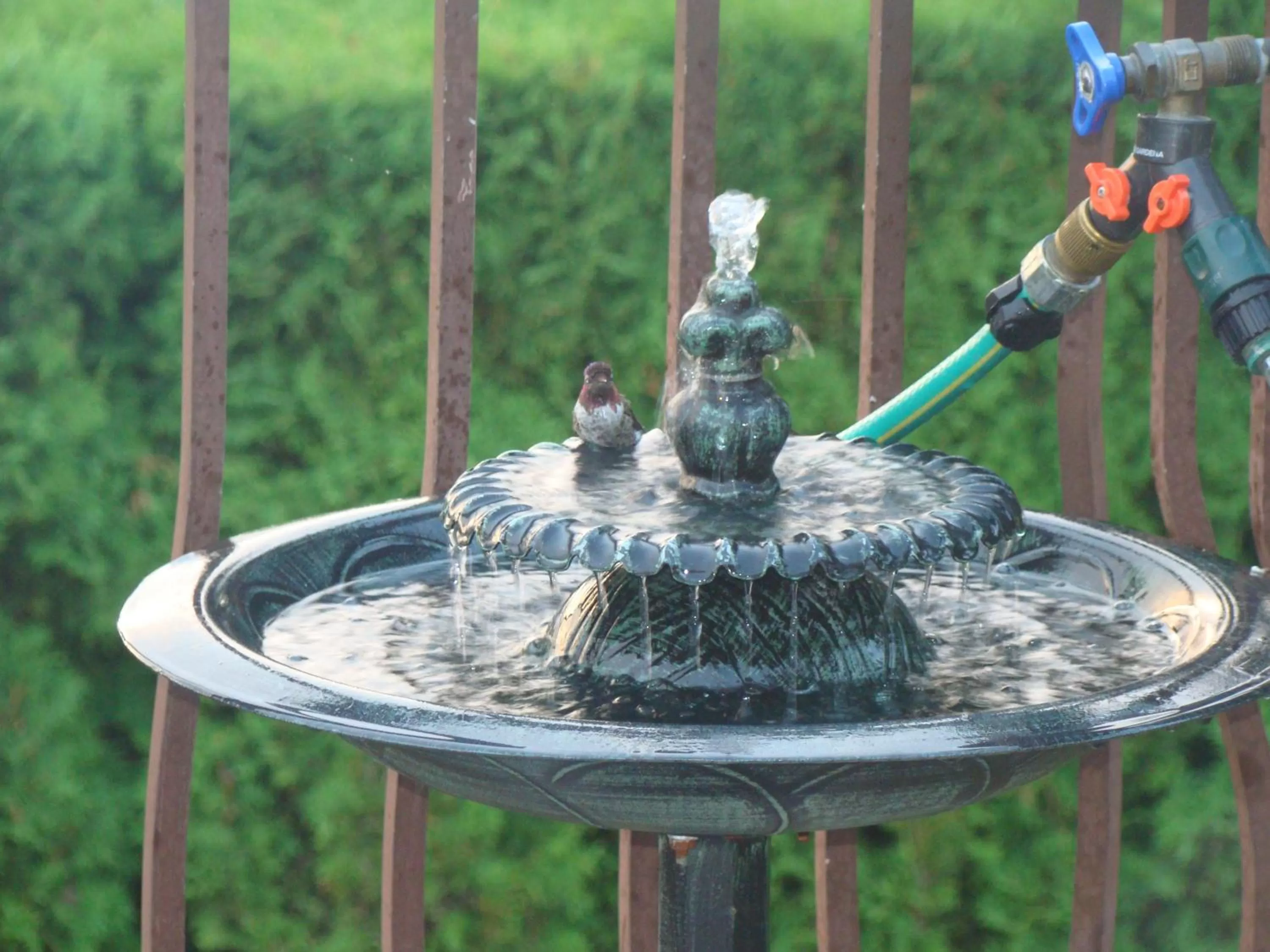 Balcony/Terrace in Hummers Haven Bed and Breakfast