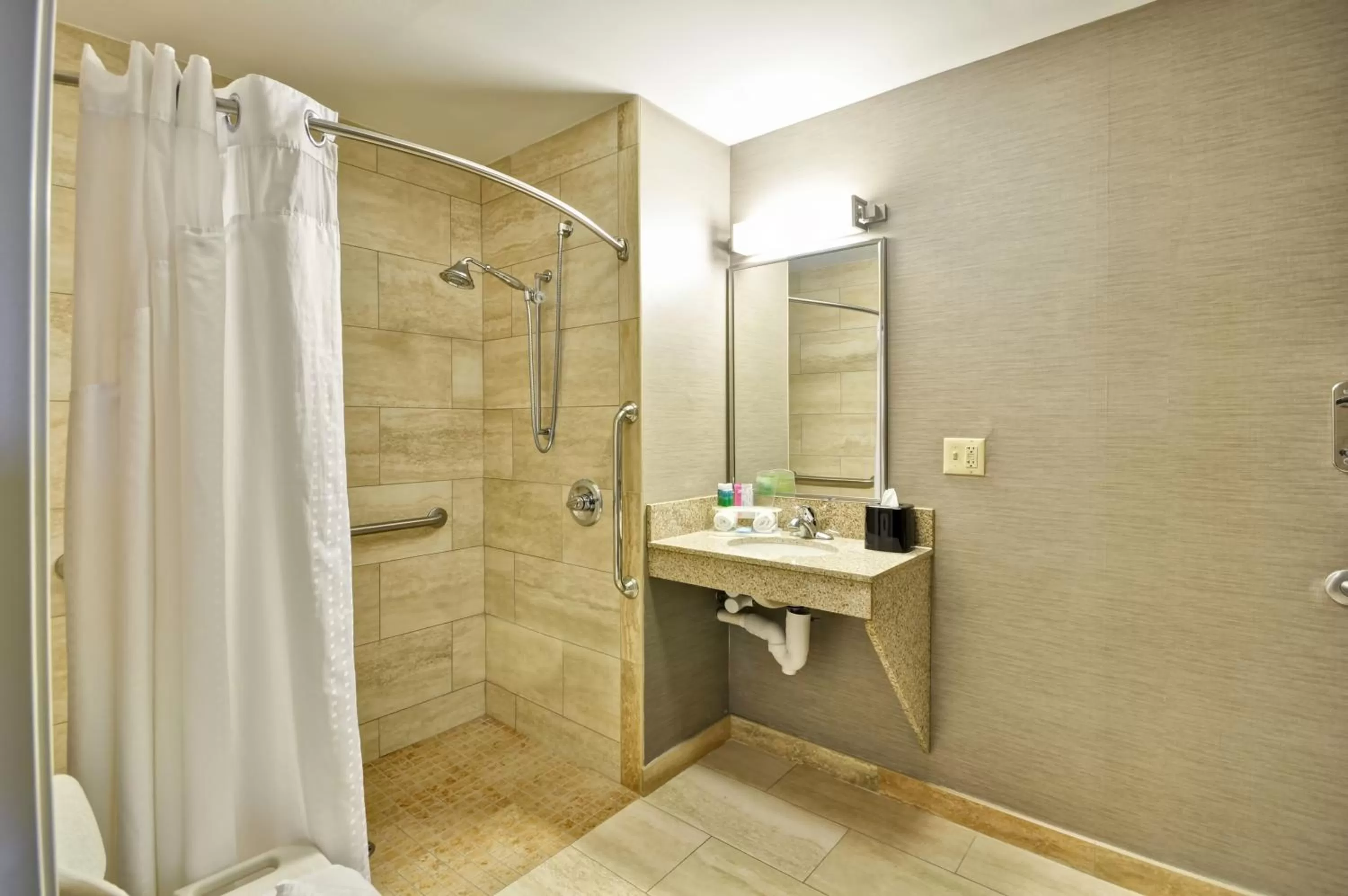 Bathroom in Holiday Inn Express Romulus / Detroit Airport by IHG