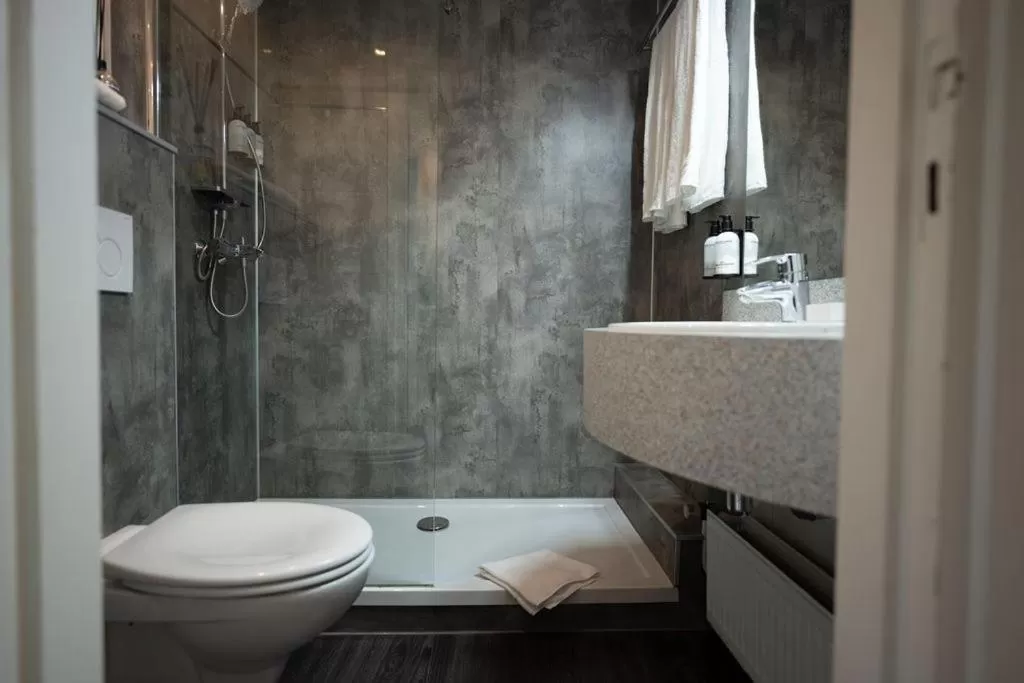 Bathroom in Boutique Hotel Slenaker Vallei - Buitengewoongenieten