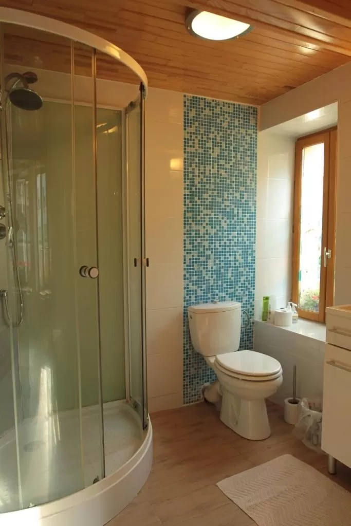 Shower, Bathroom in Golden Lion