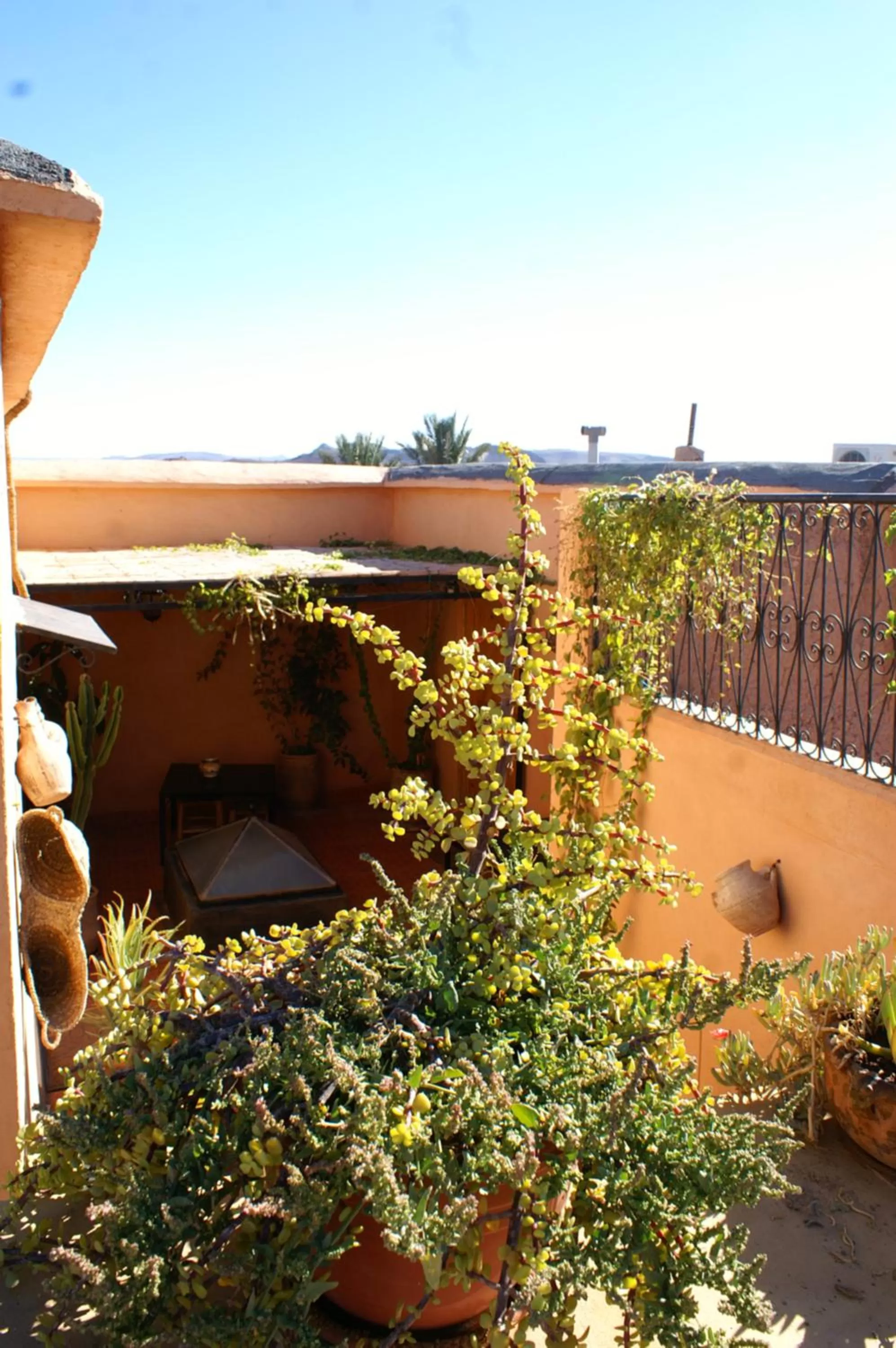 Decorative detail, Balcony/Terrace in Maison d'hôtes Dar El Nath