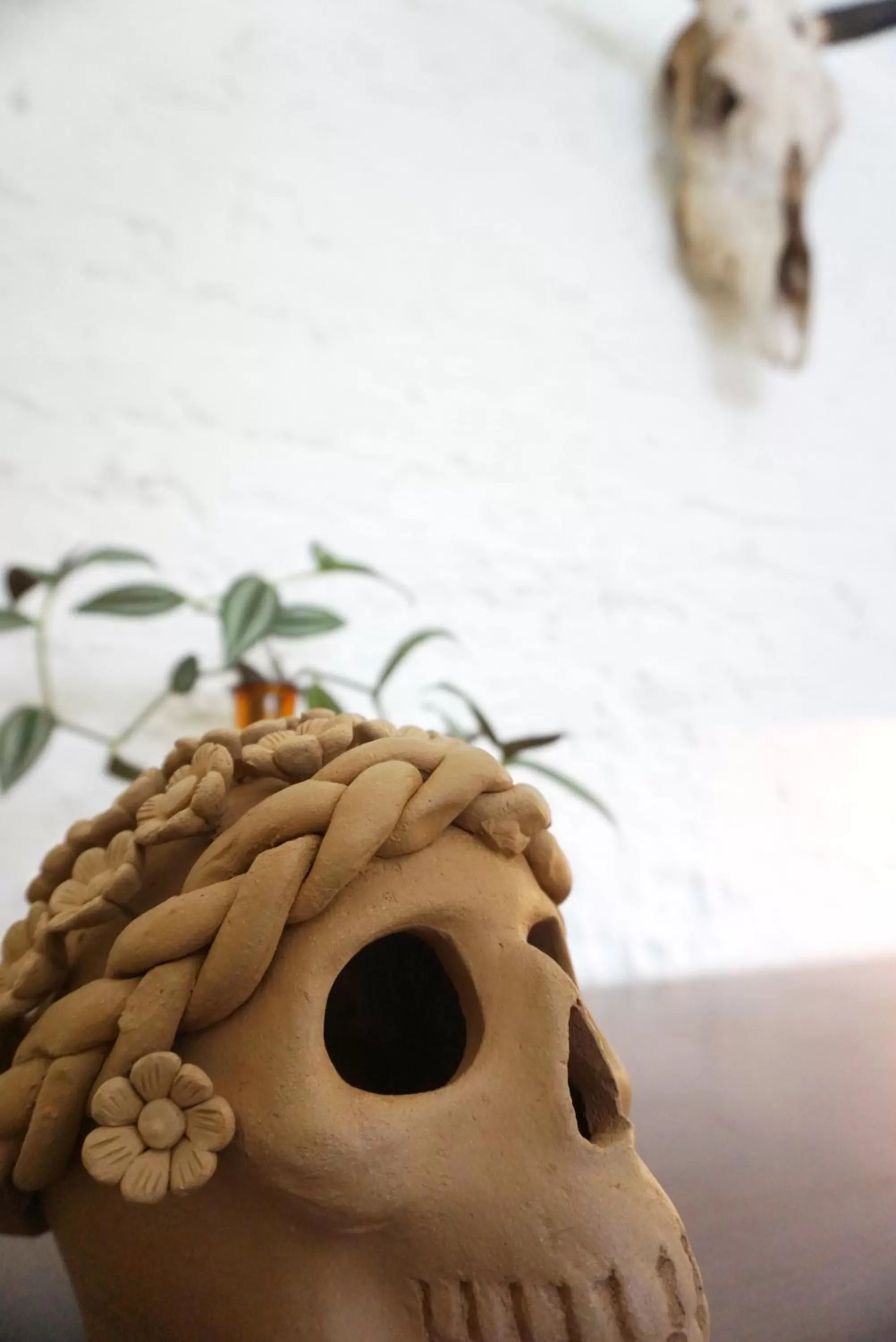 Casa Morelos by Barrio Mexico