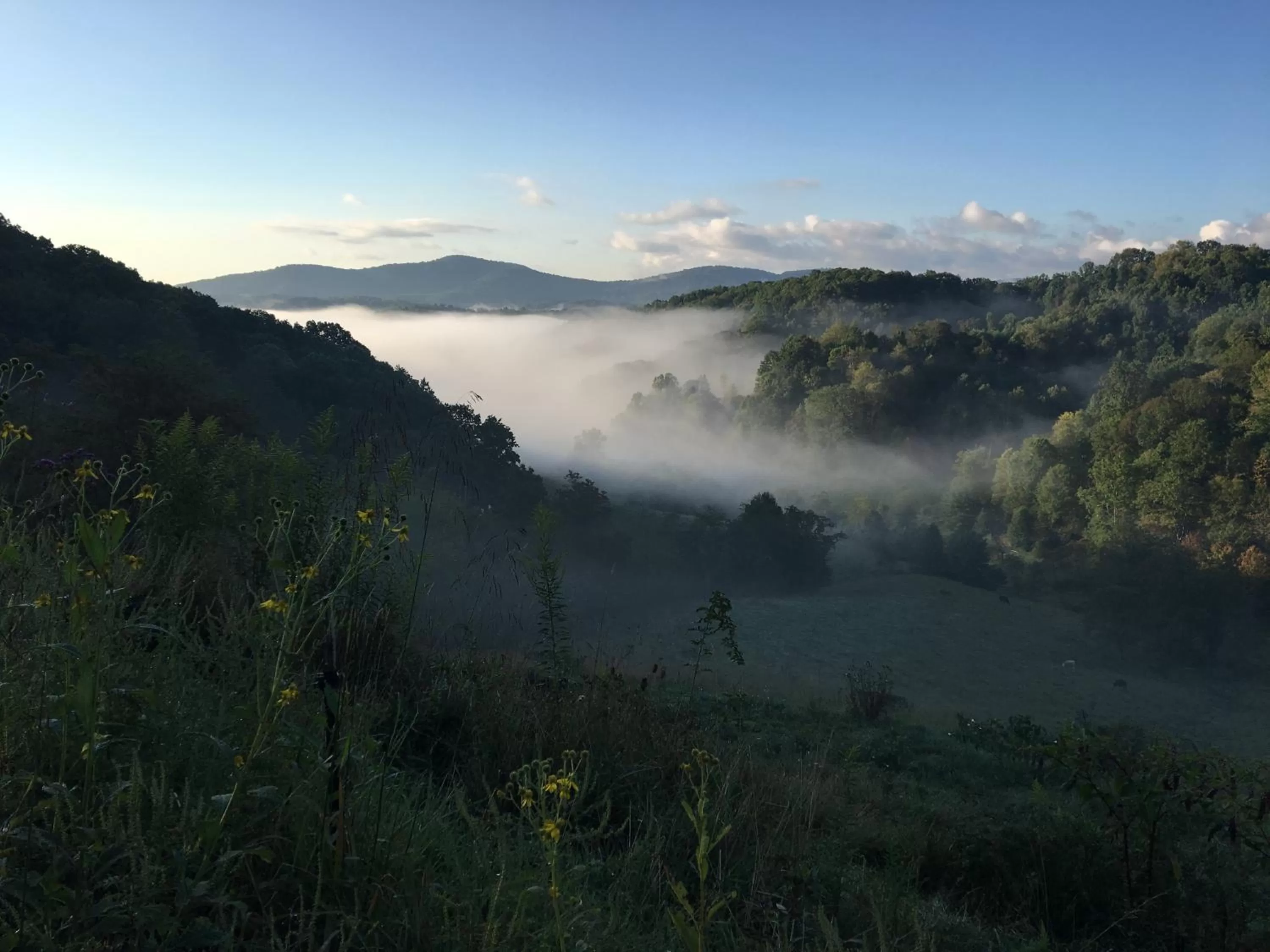 Natural Landscape in River House Inn