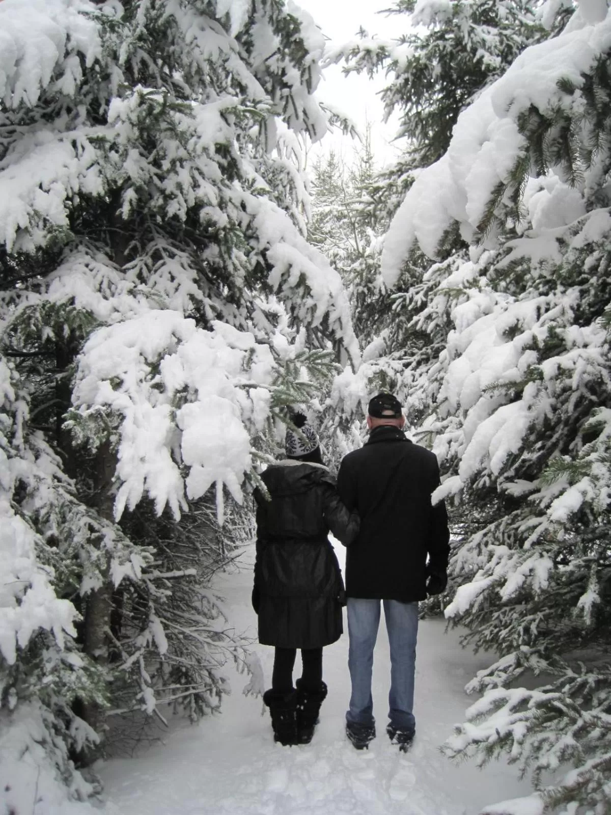 Hiking in Domaine de la Baie, Les Suites
