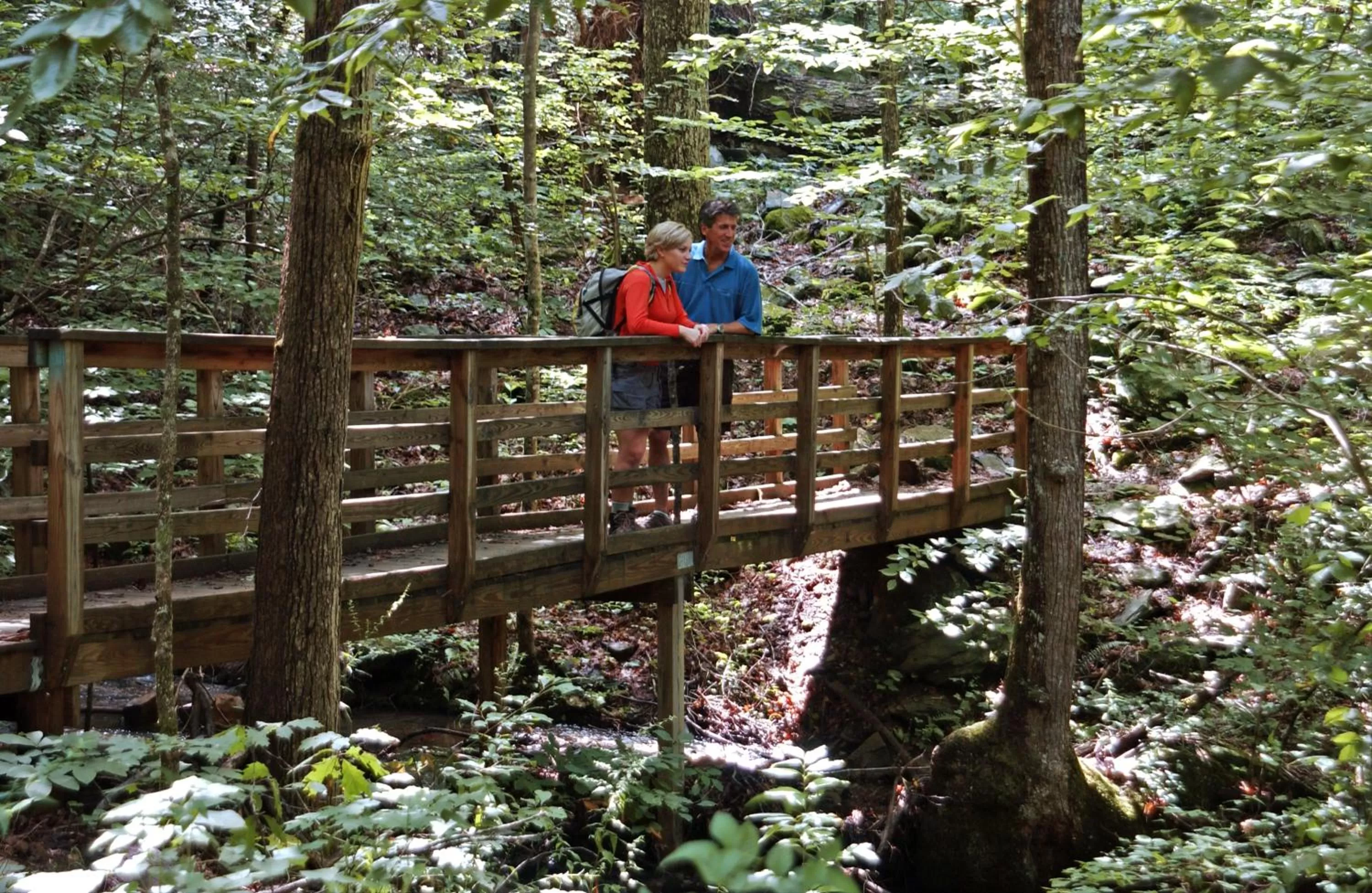 Hiking in Brasstown Valley Resort & Spa
