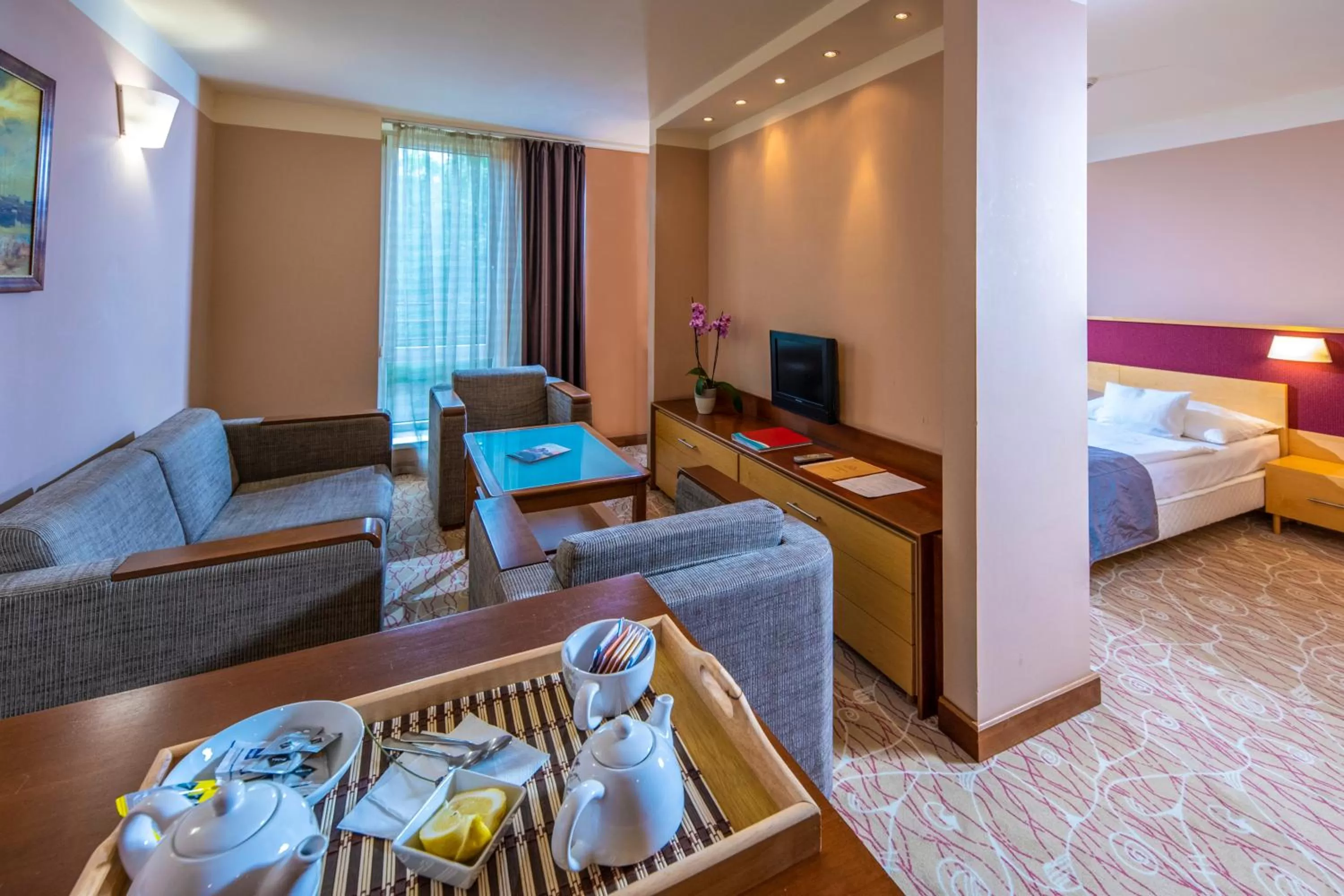 Living room, Bed in Dráva Hotel Thermal Resort