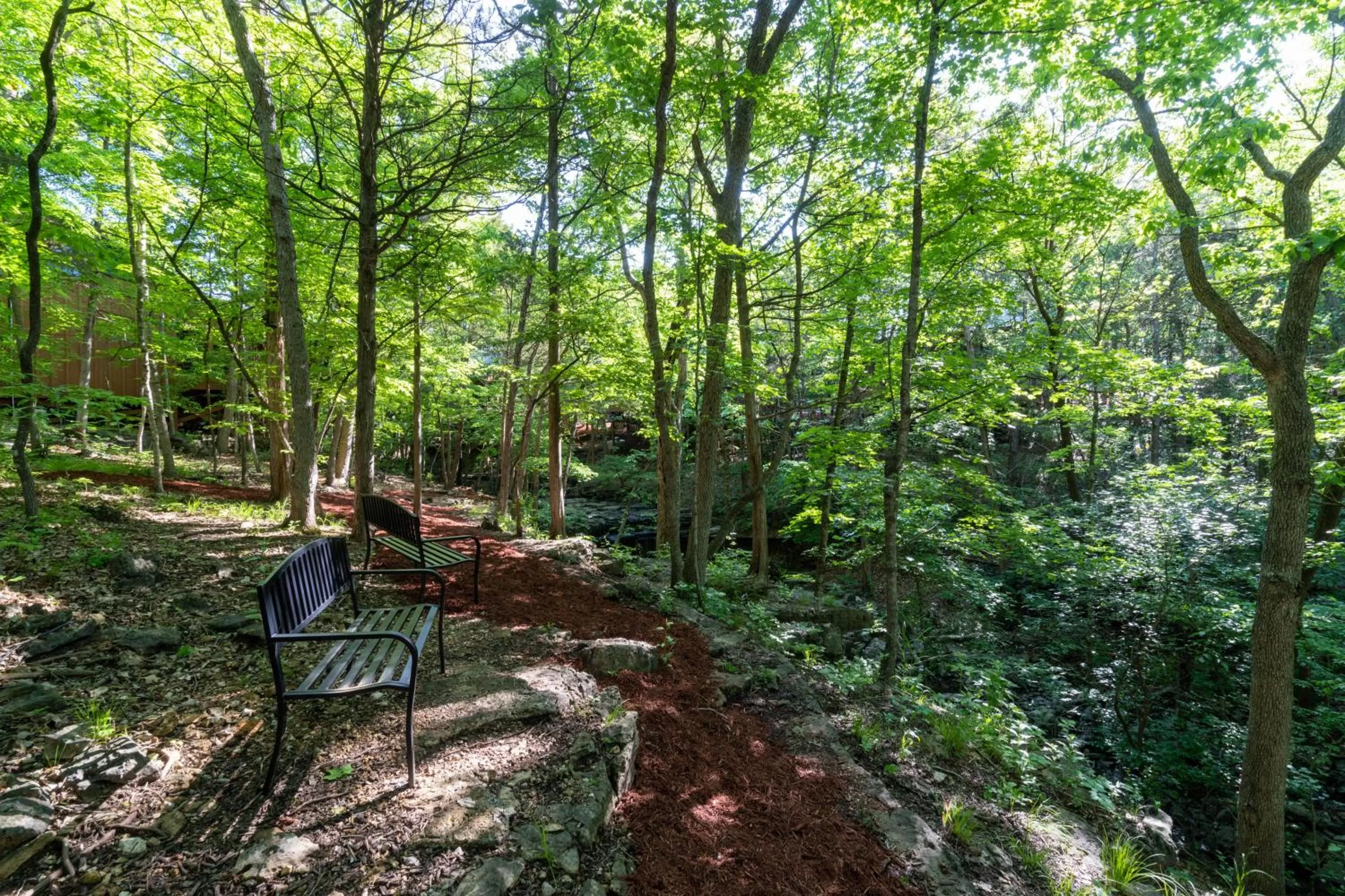 Natural landscape in Cabins at Green Mountain, Trademark Collection by Wyndham