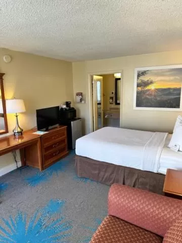 Bed in Days Inn by Wyndham Asheville West