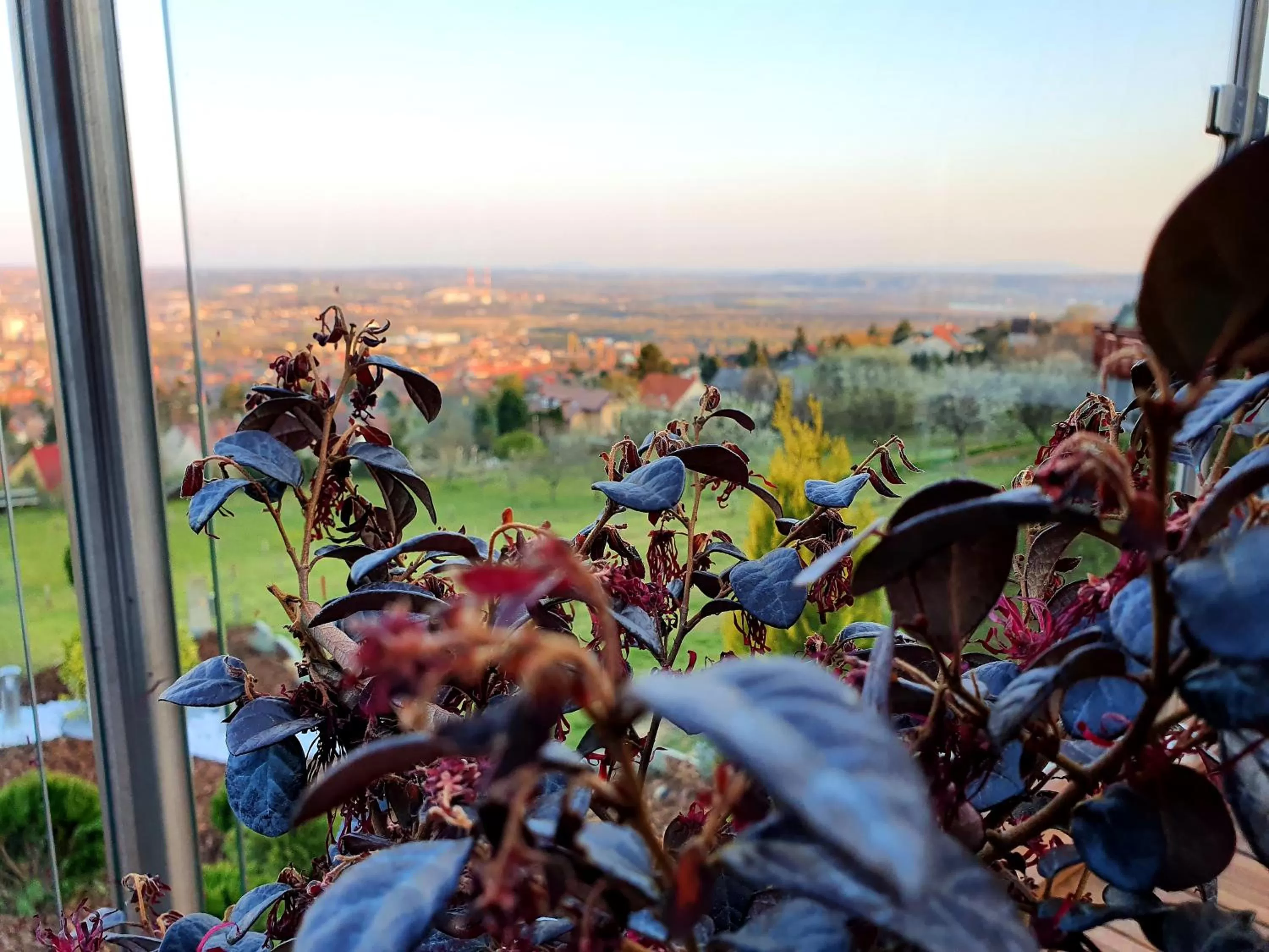 Bagoly Wellness Apartman