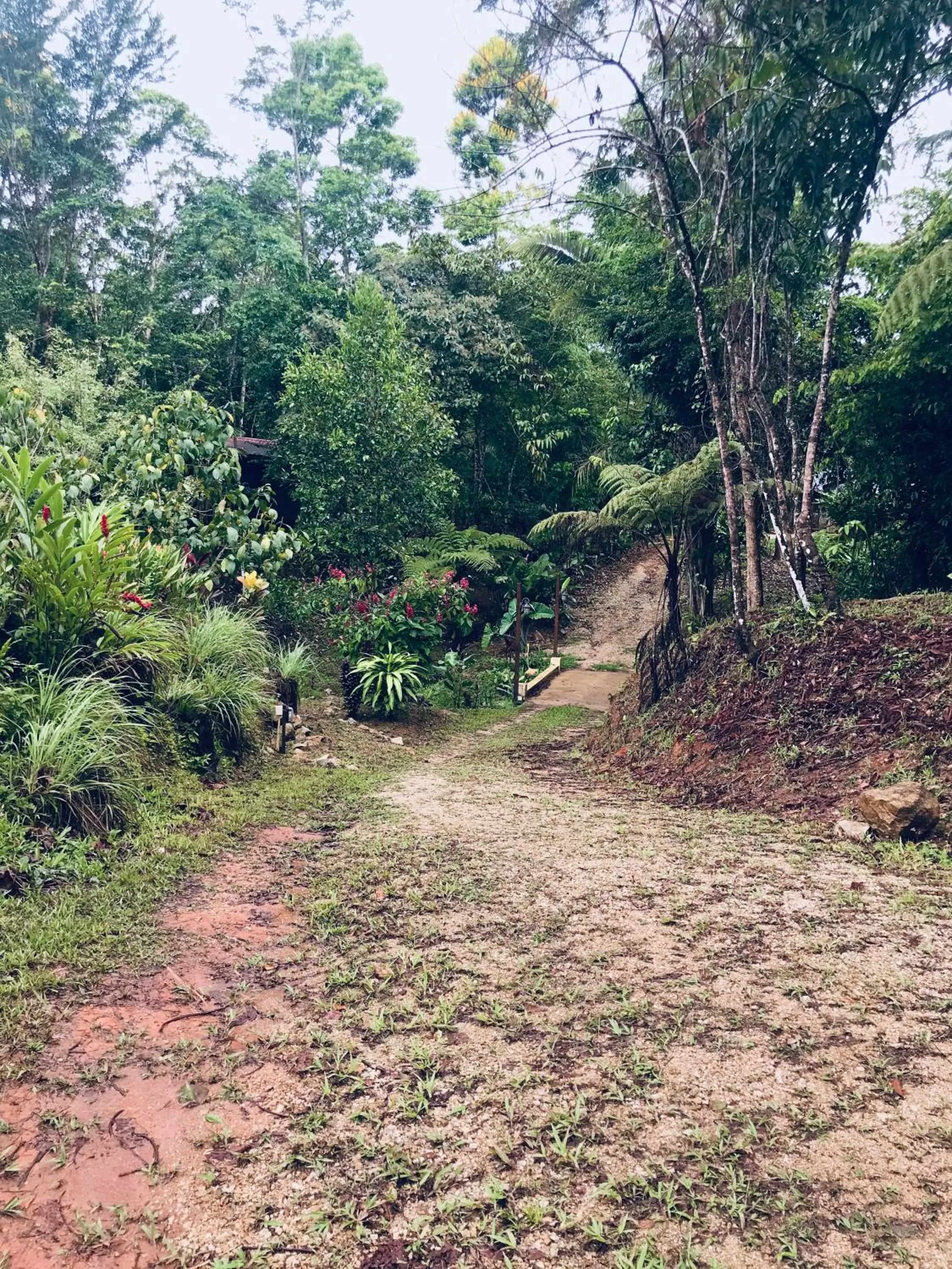 Garden in Sattva Land