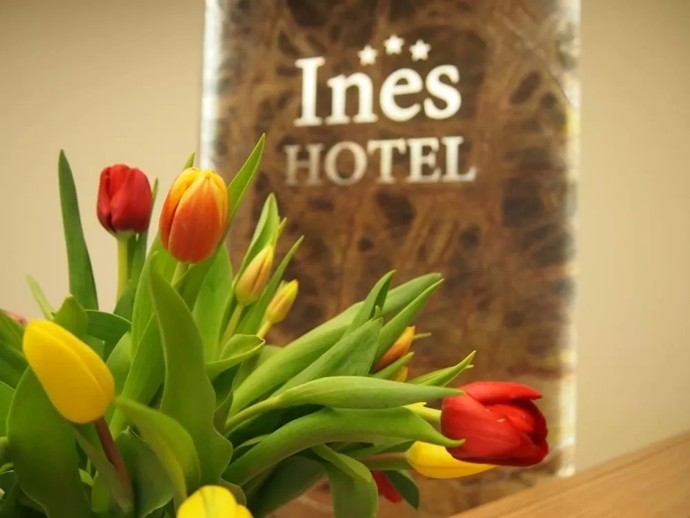 Decorative detail in Hotel Ines