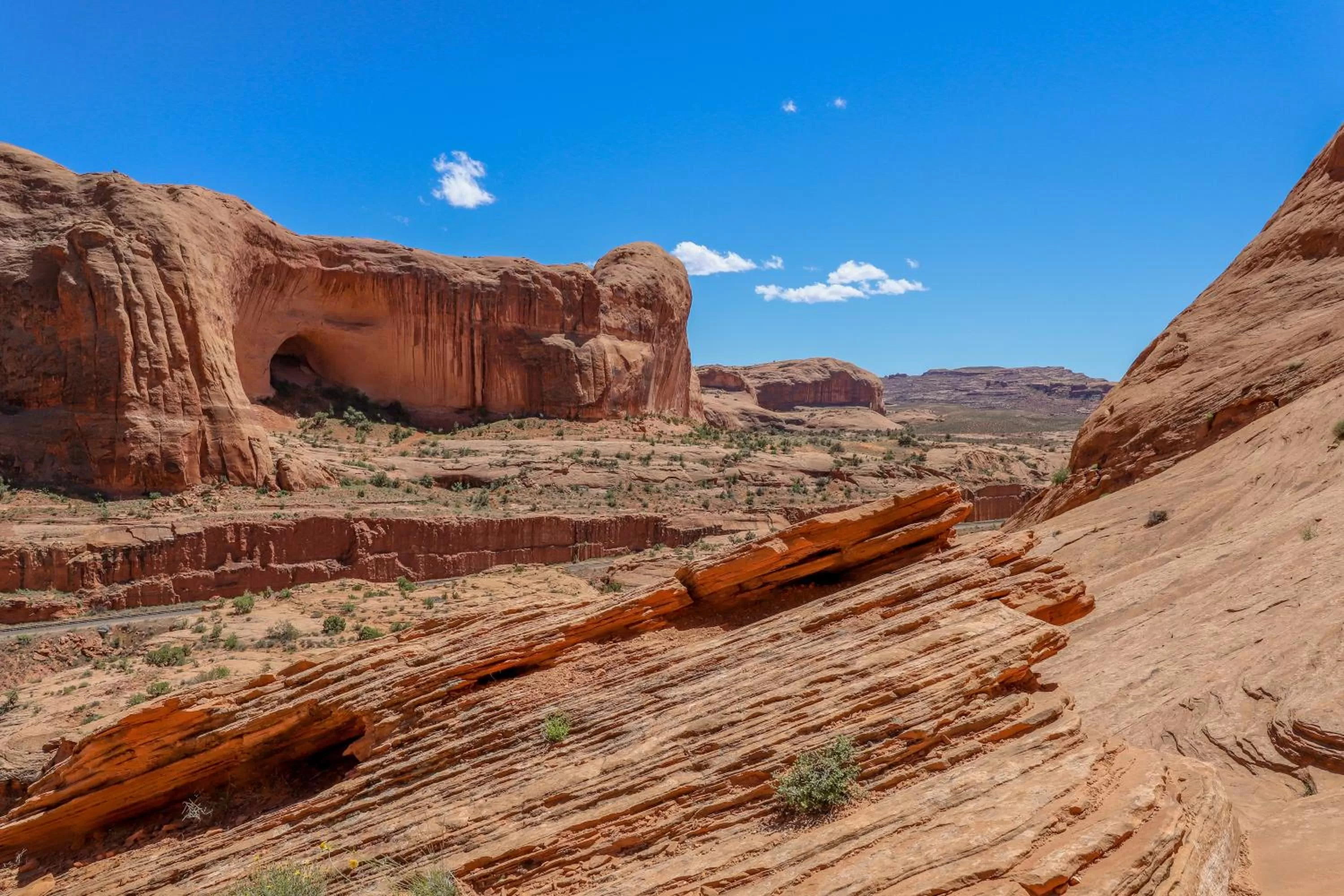 Natural Landscape in Sunny Acres Cabin