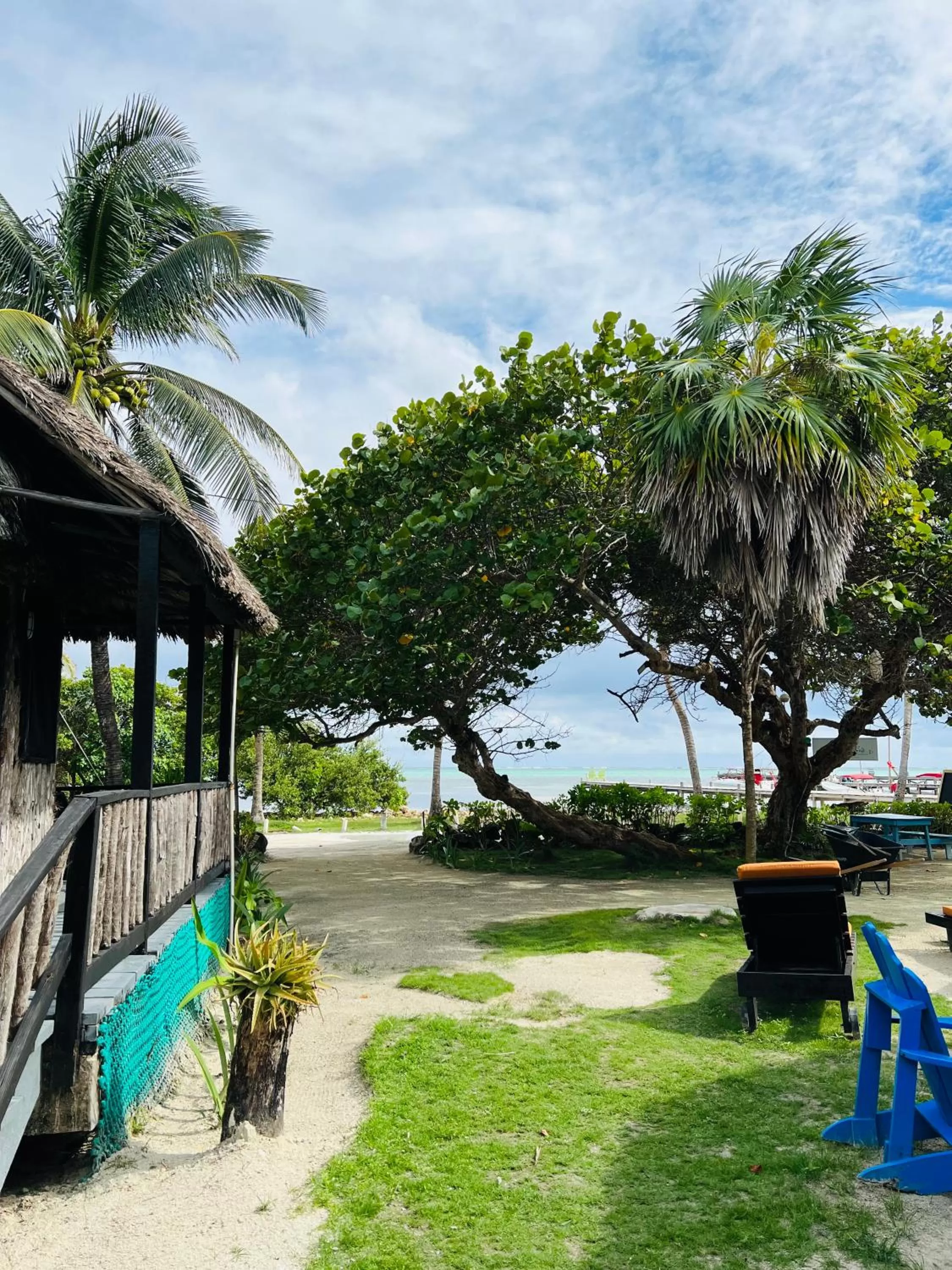 View (from property/room) in Hotel Del Rio