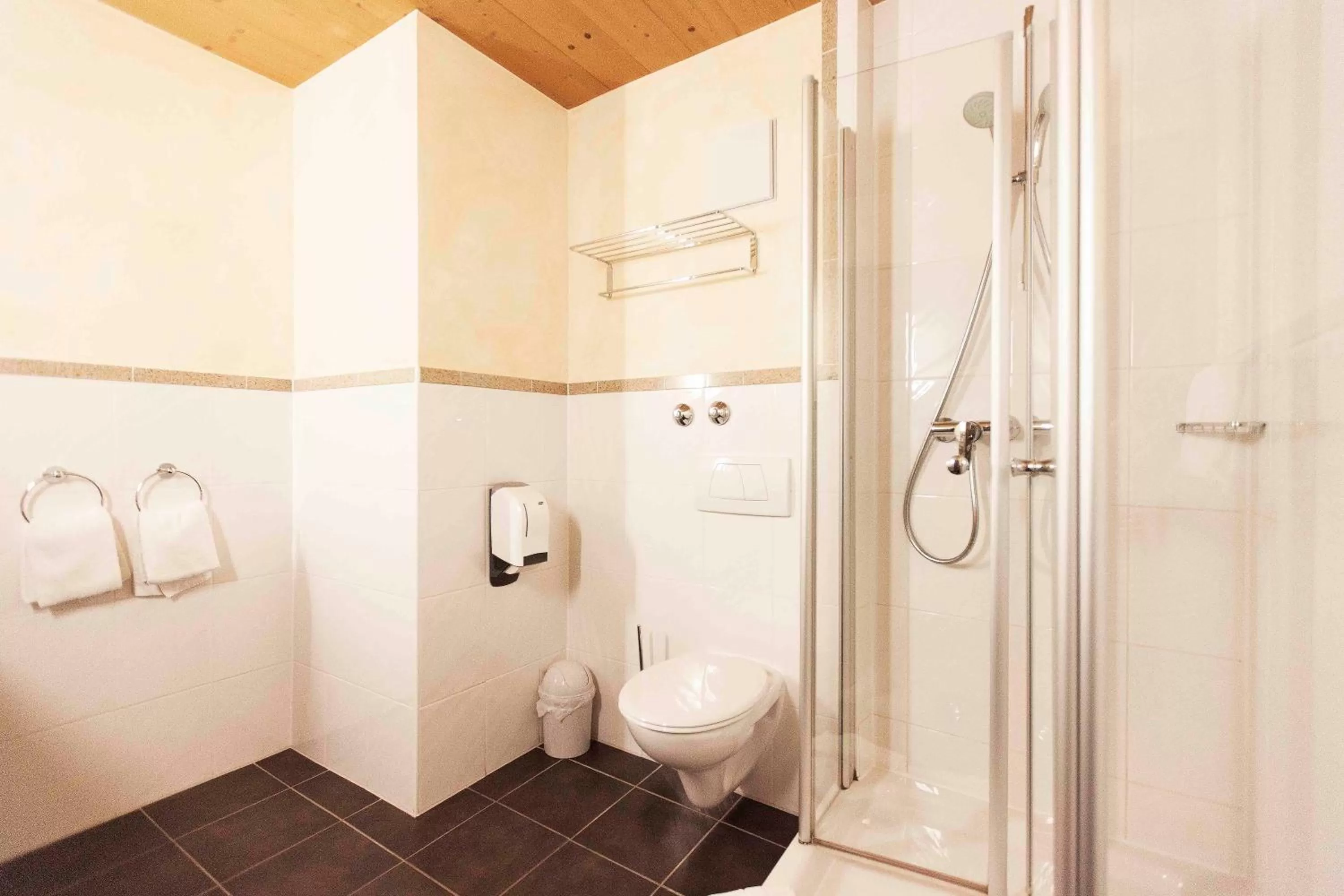 Bathroom in Alter Hof