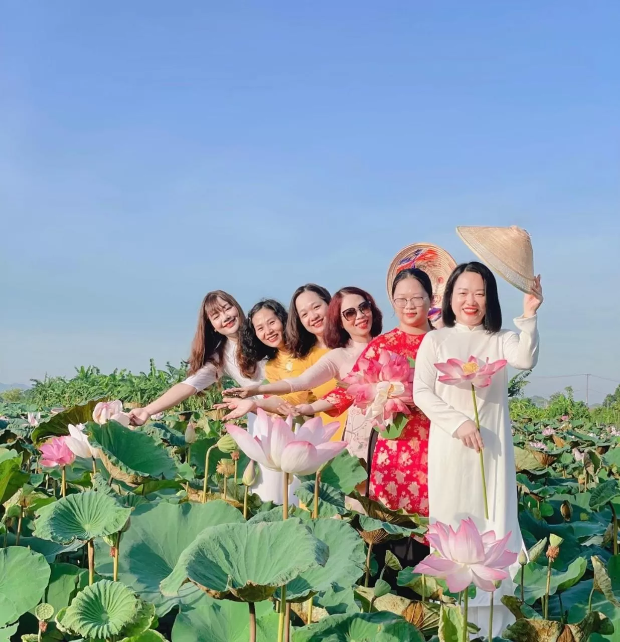 Natural landscape in Lotus Hotel Ninh Bình