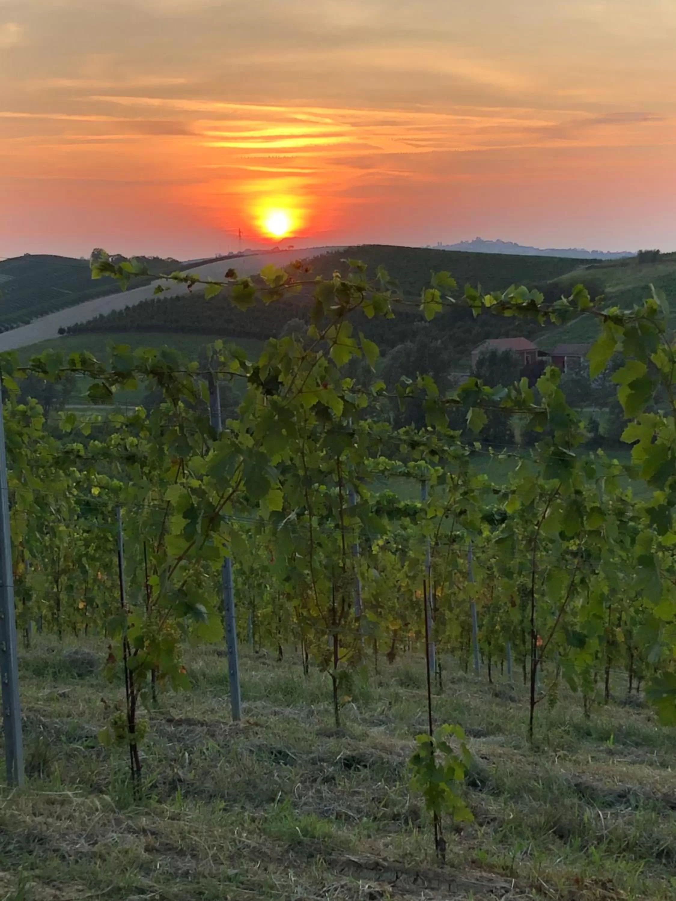 Natural landscape in Villa Vigneto