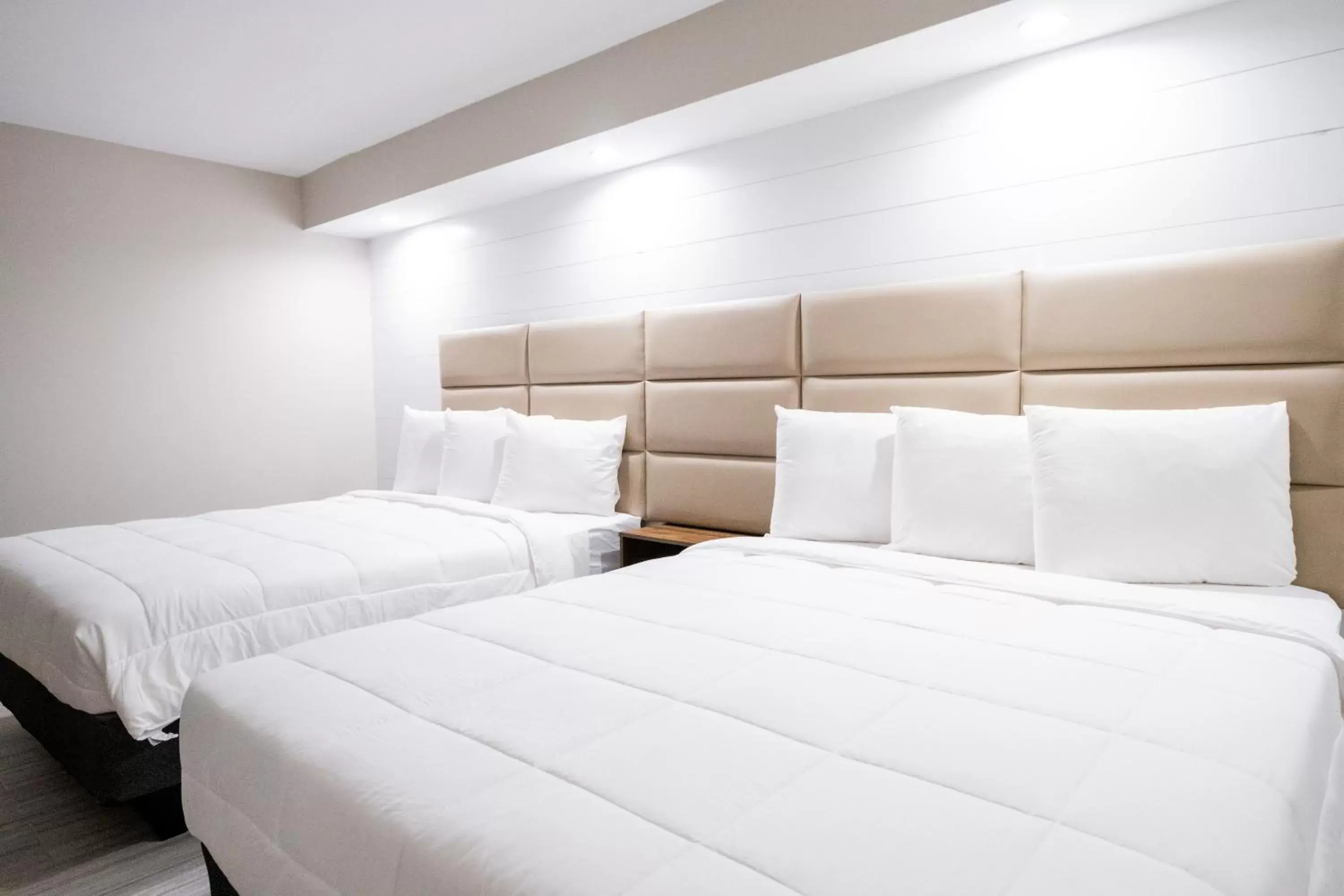 Two-Bedroom Suite in 300 Tenth Two-Bedroom Suite in 300 Tenth