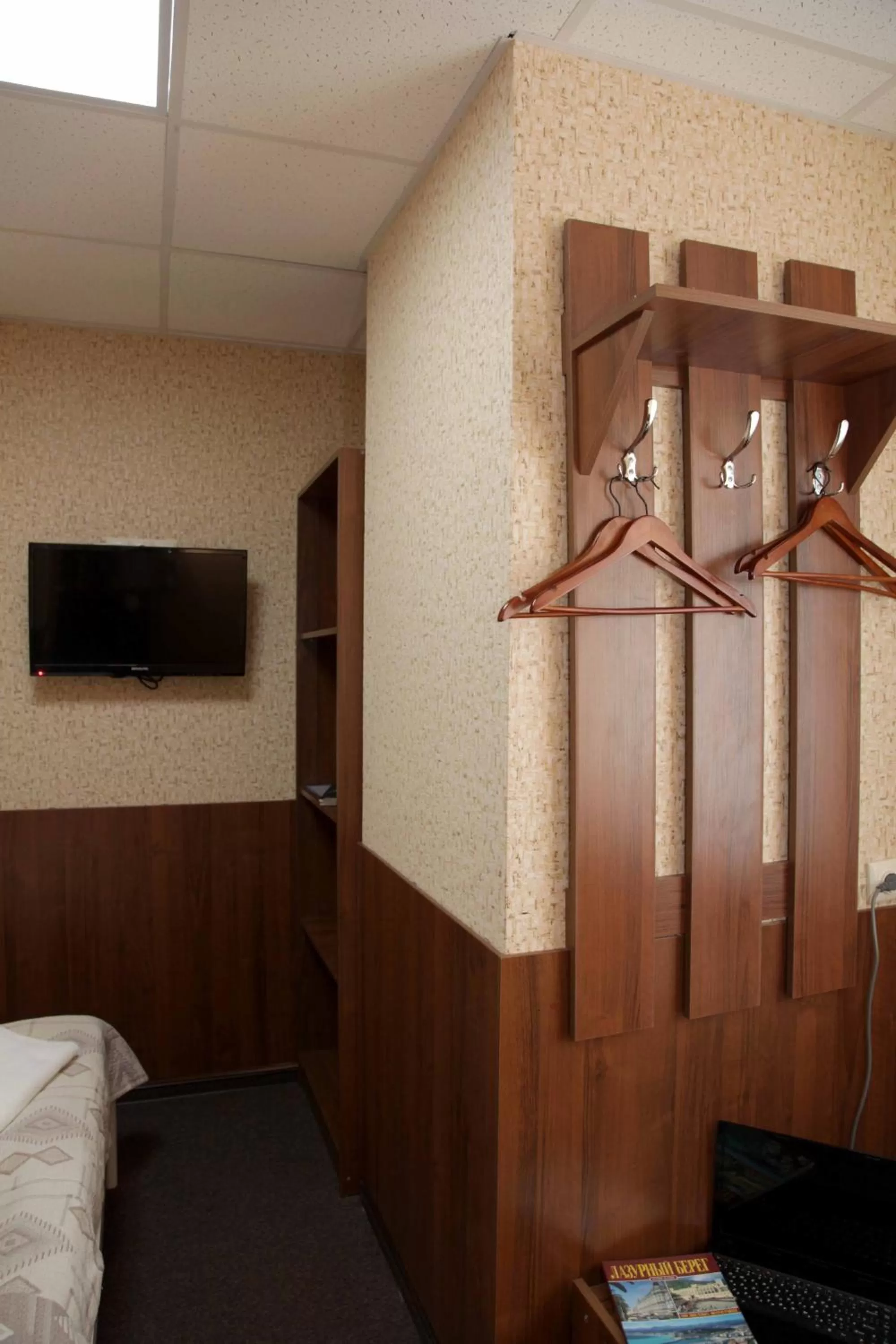 Decorative detail, TV/Entertainment Center in irisHotels