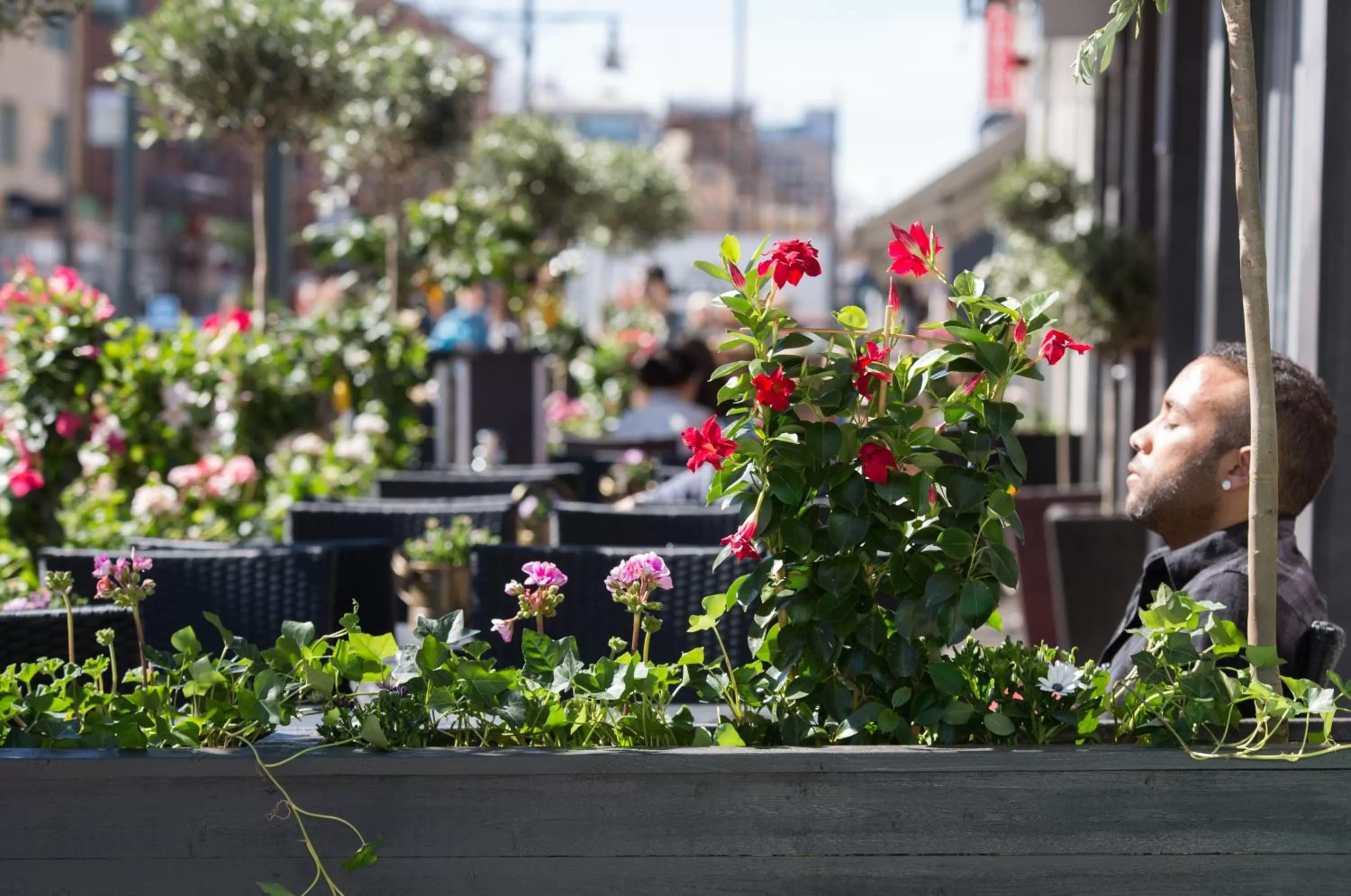 Spring in Best Western Plus Savoy Lulea