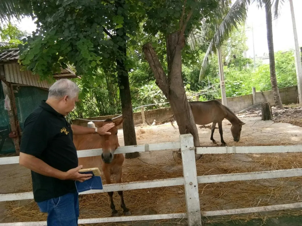 Scenic Riverside Resort