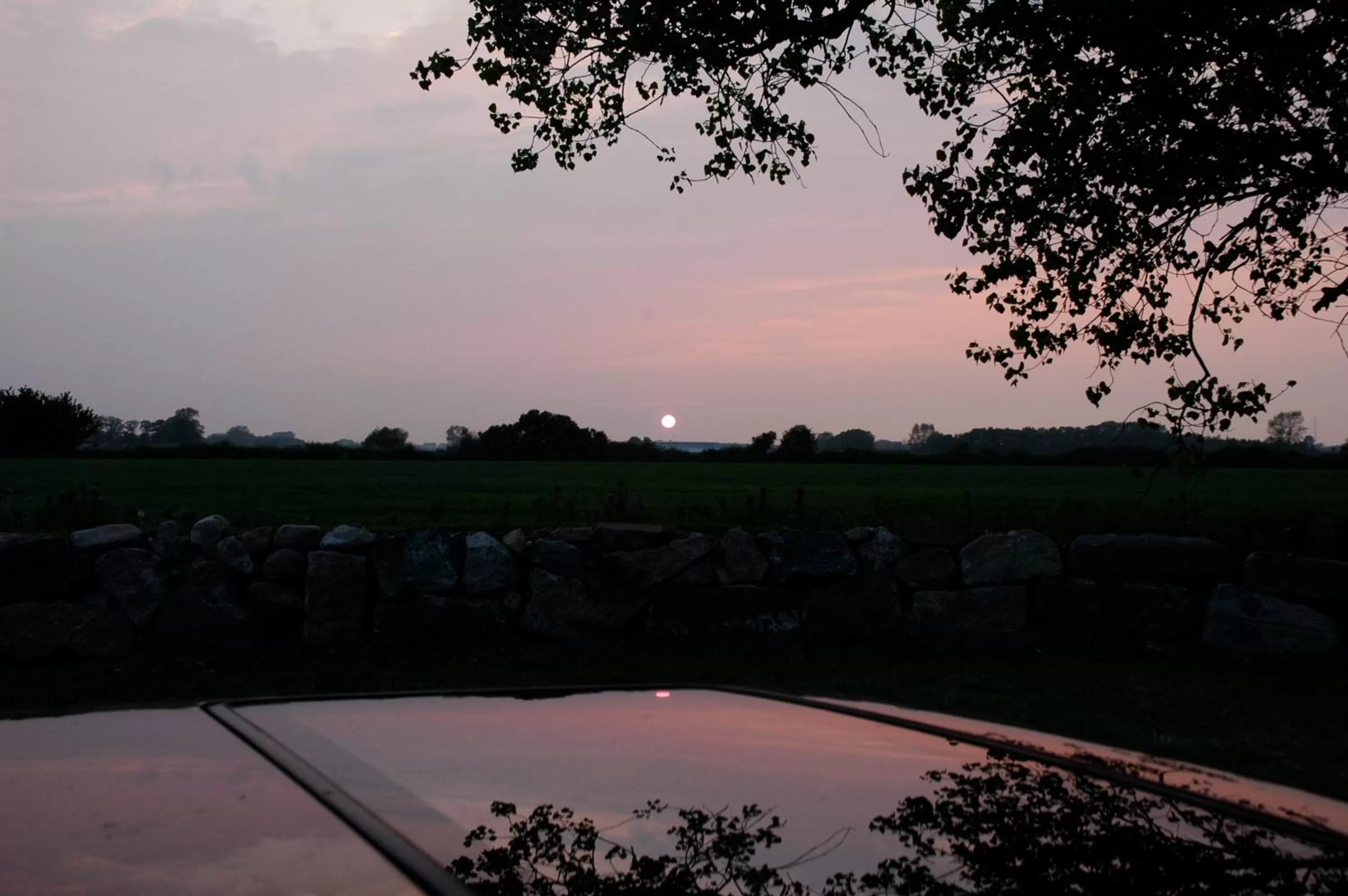 Garden view in Åløkke BnB