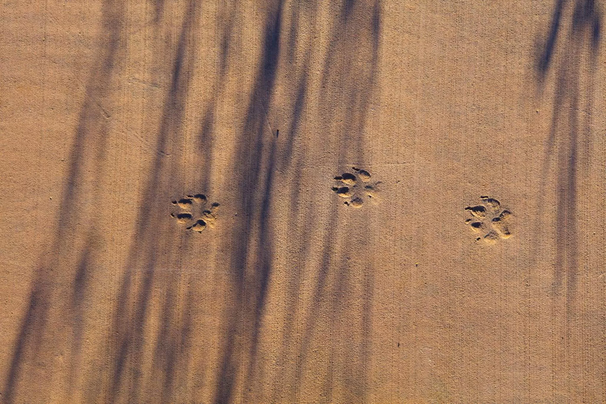 Best Friends Roadhouse and Mercantile