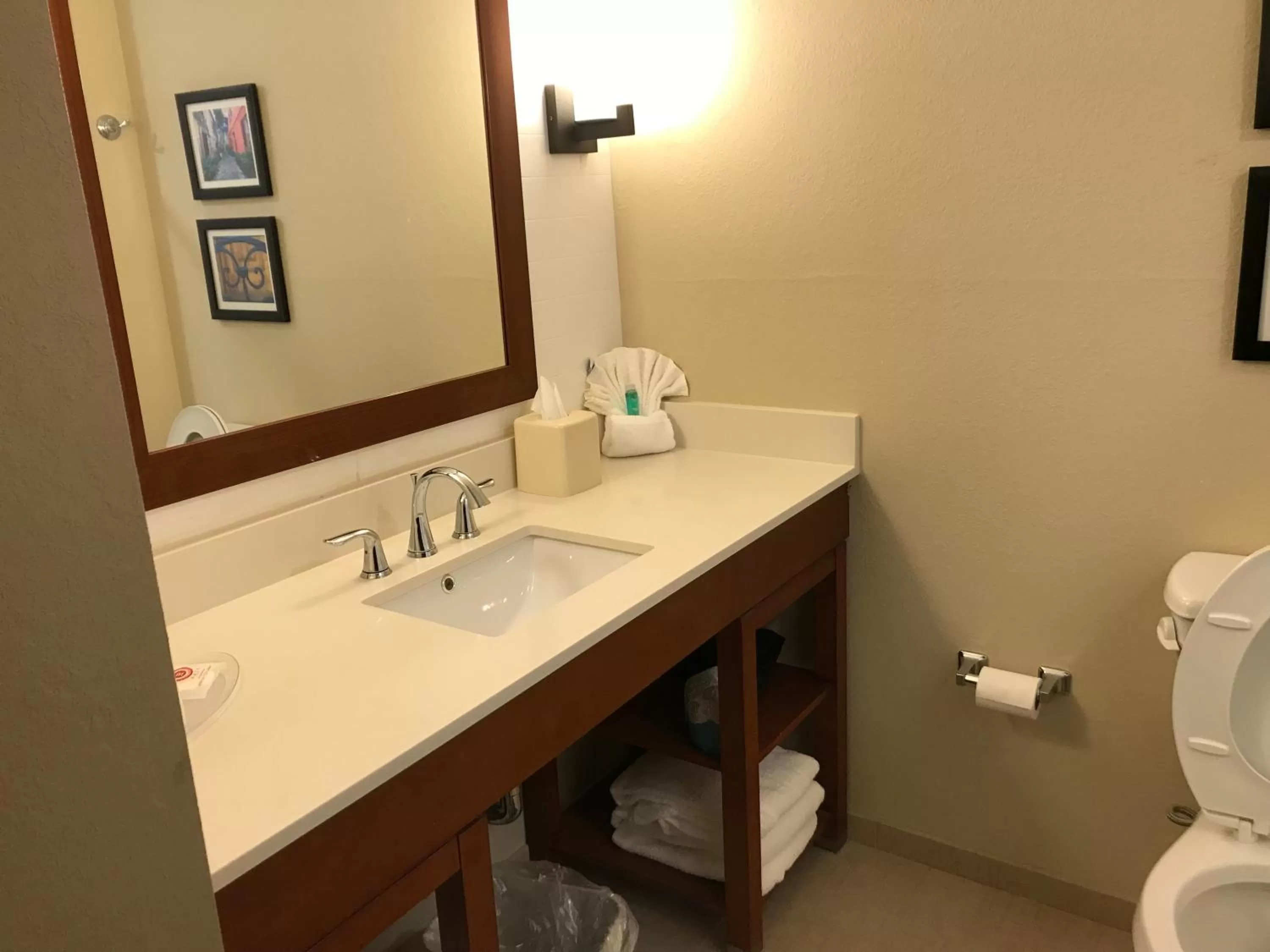 Bathroom in Comfort Suites Summerville