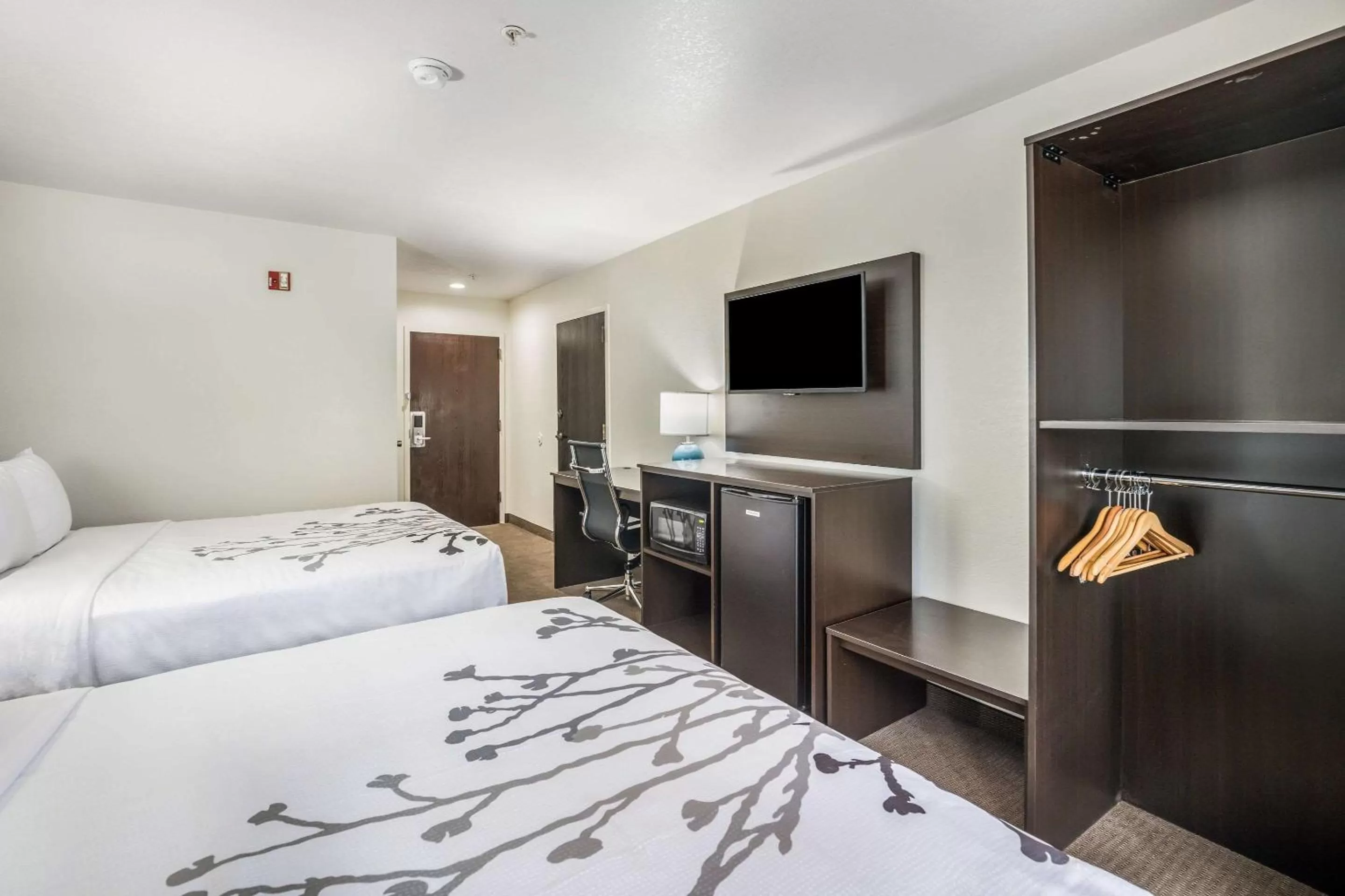 Photo of the whole room, Bed in Sleep Inn & Suites Tallahassee-Capitol