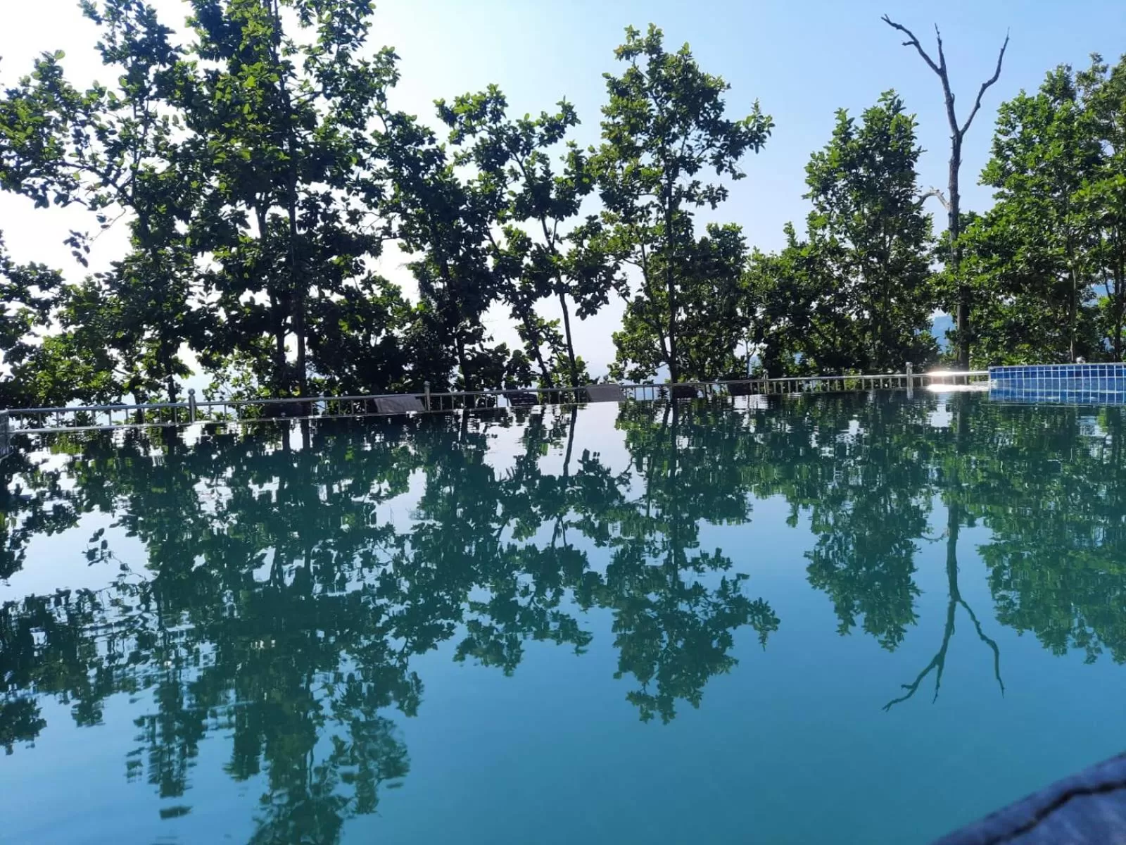 Swimming pool in Blue Pine Orchards