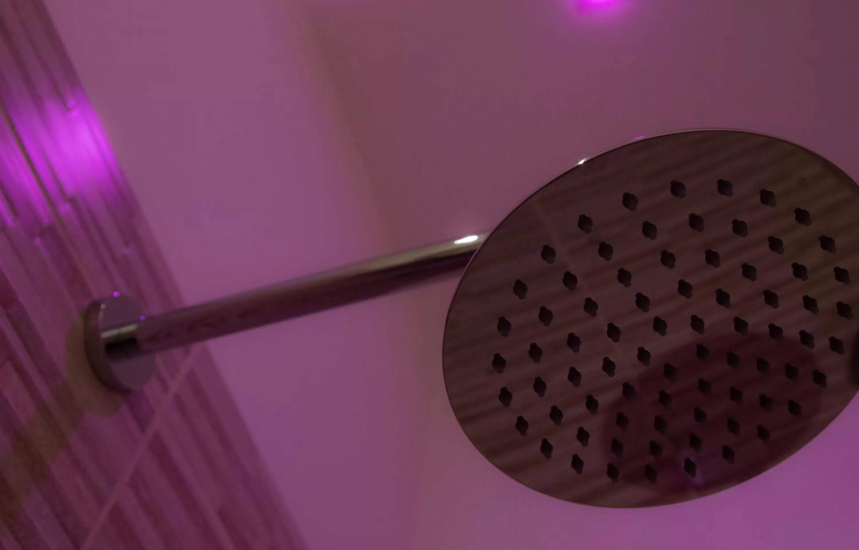 Shower in Esposizione Palace Hotel