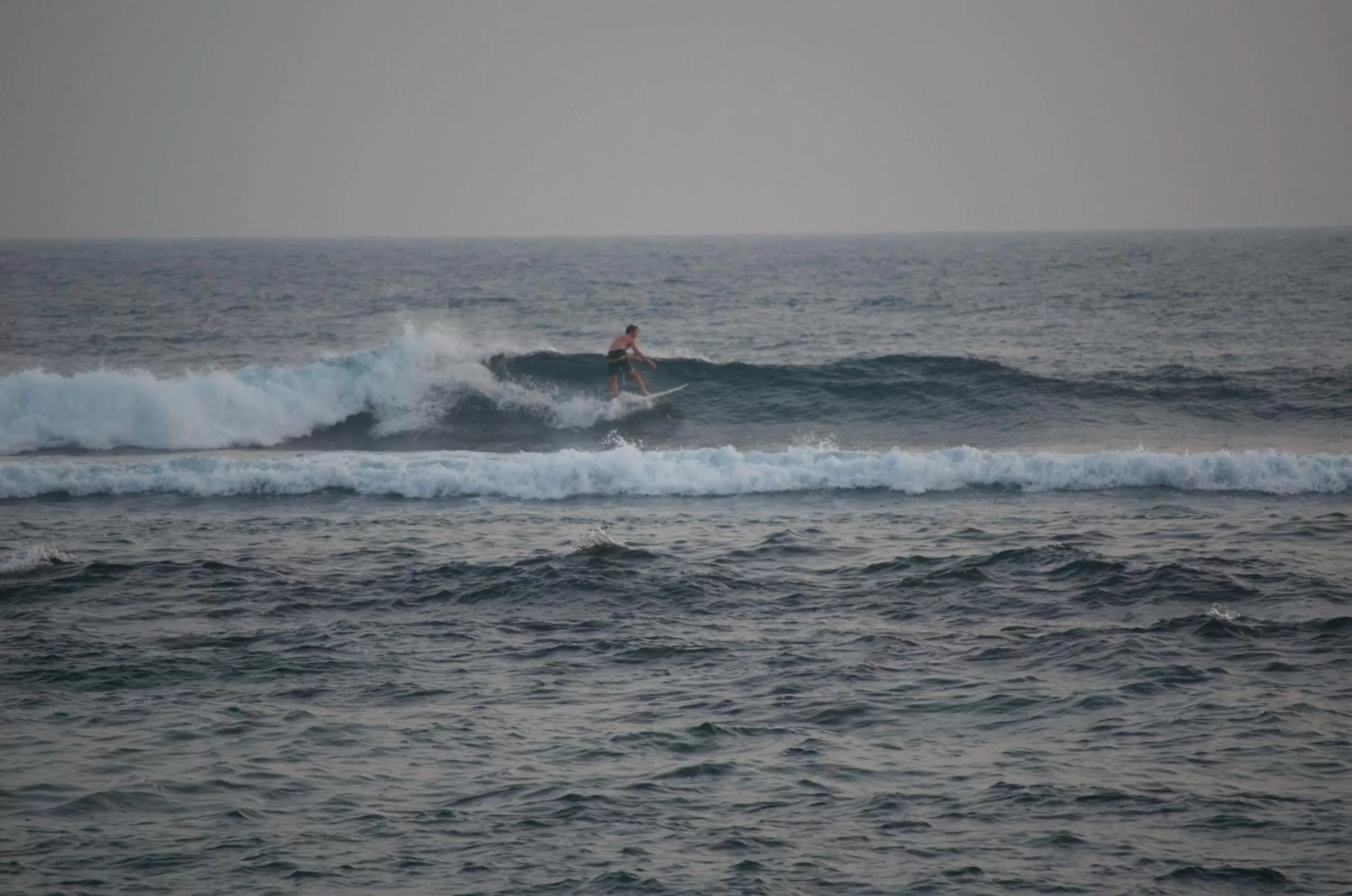 People, Other Activities in New Ocean Vibes