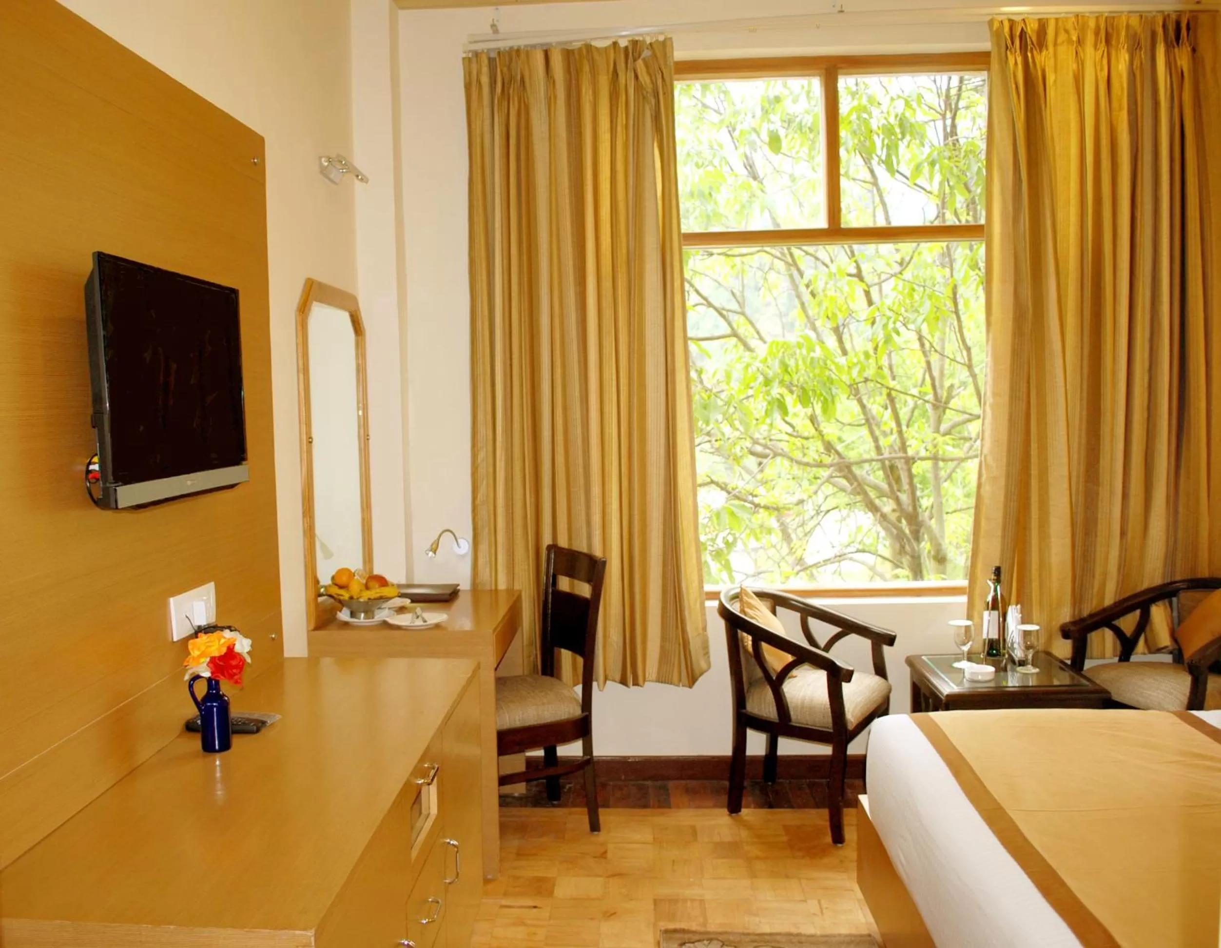 TV and multimedia in Bravia Hotel Manali Inn