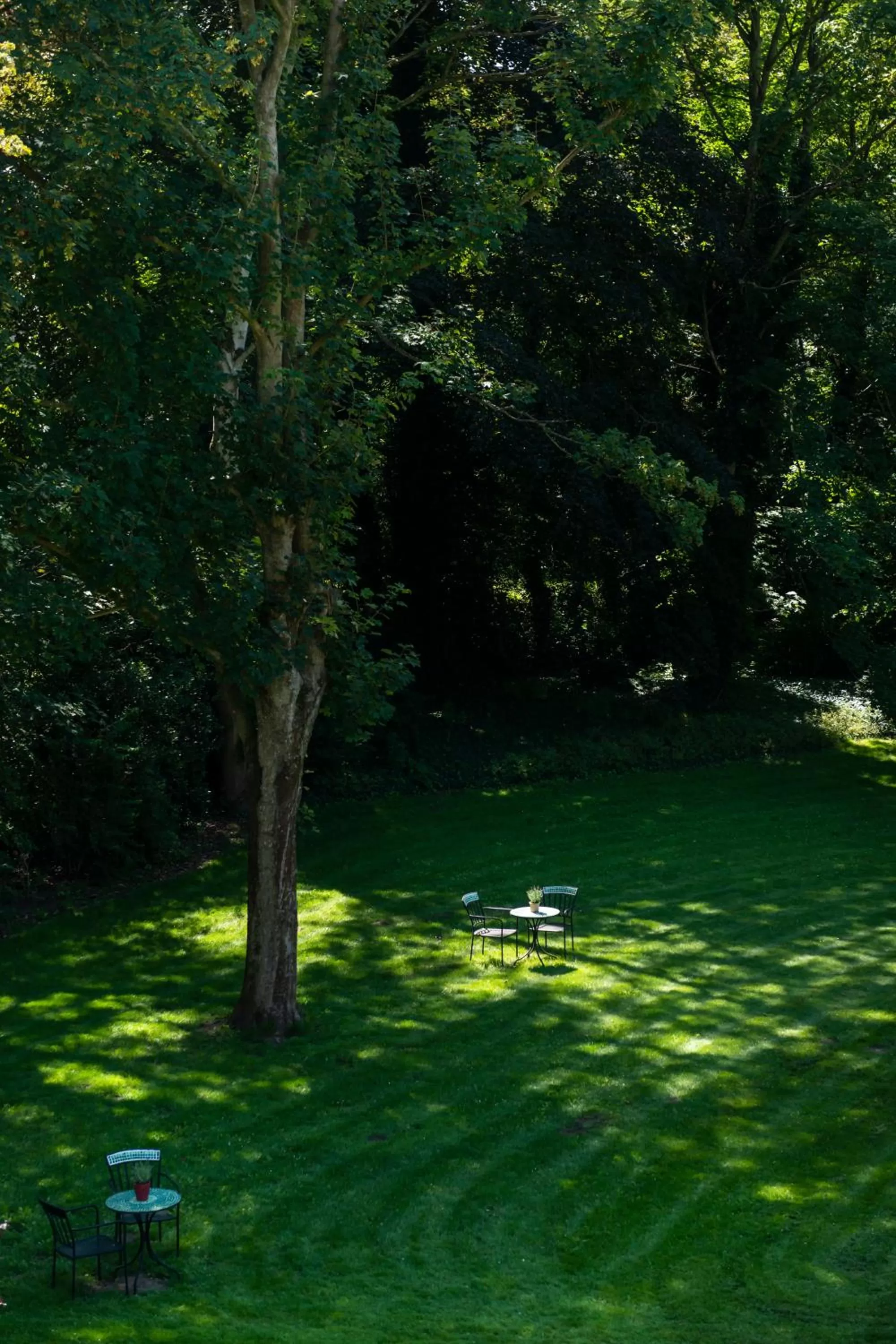 View (from property/room) in Boutique hotel Shamon