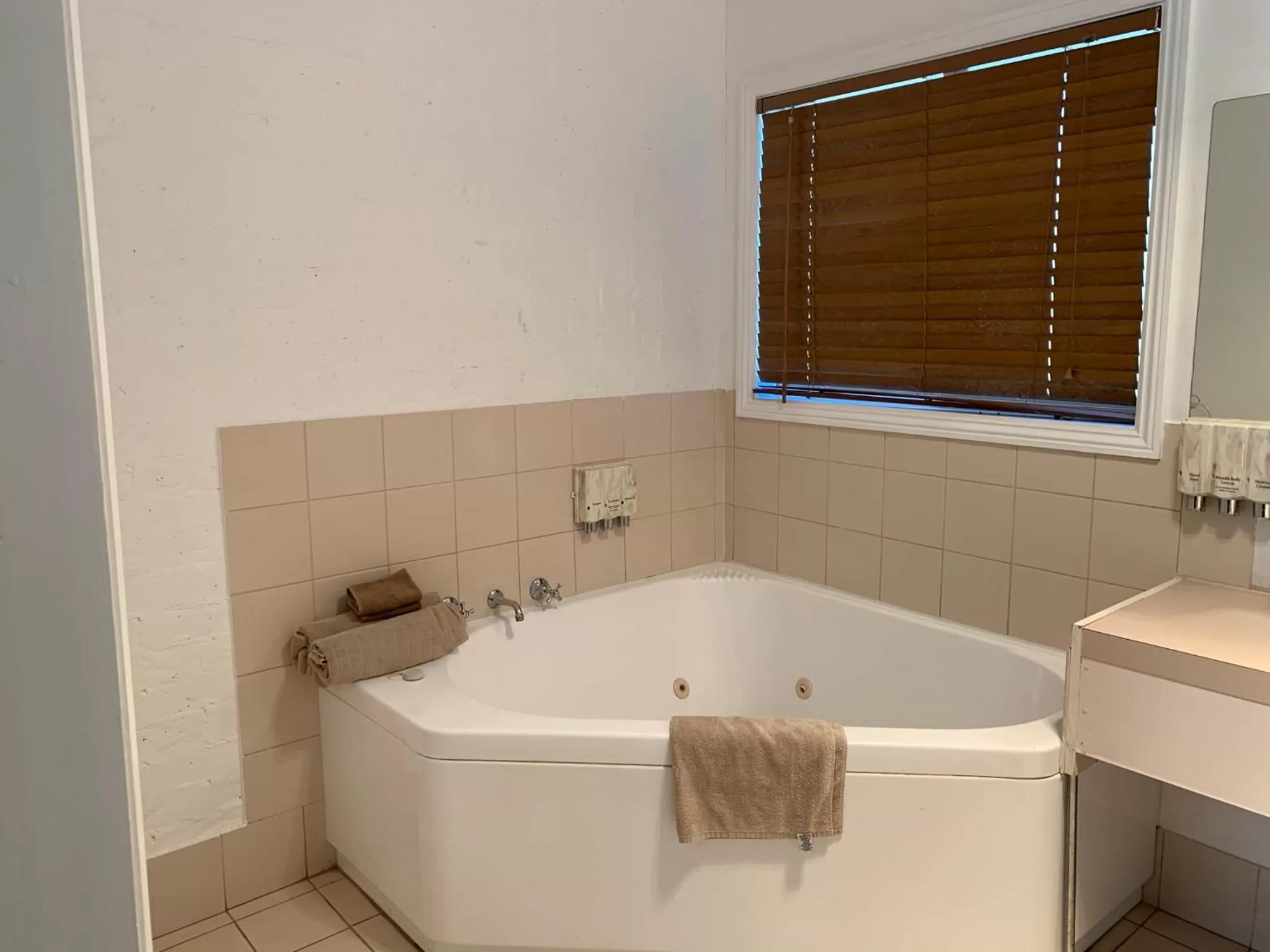 Bathroom in Swaggers Motor Inn