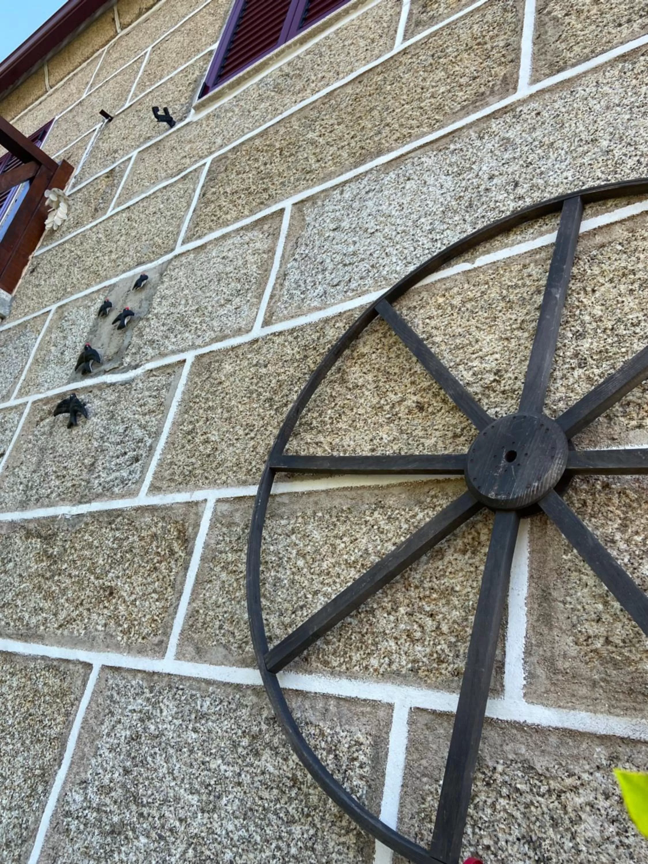 Garden in Casa da Aldeia da Avó