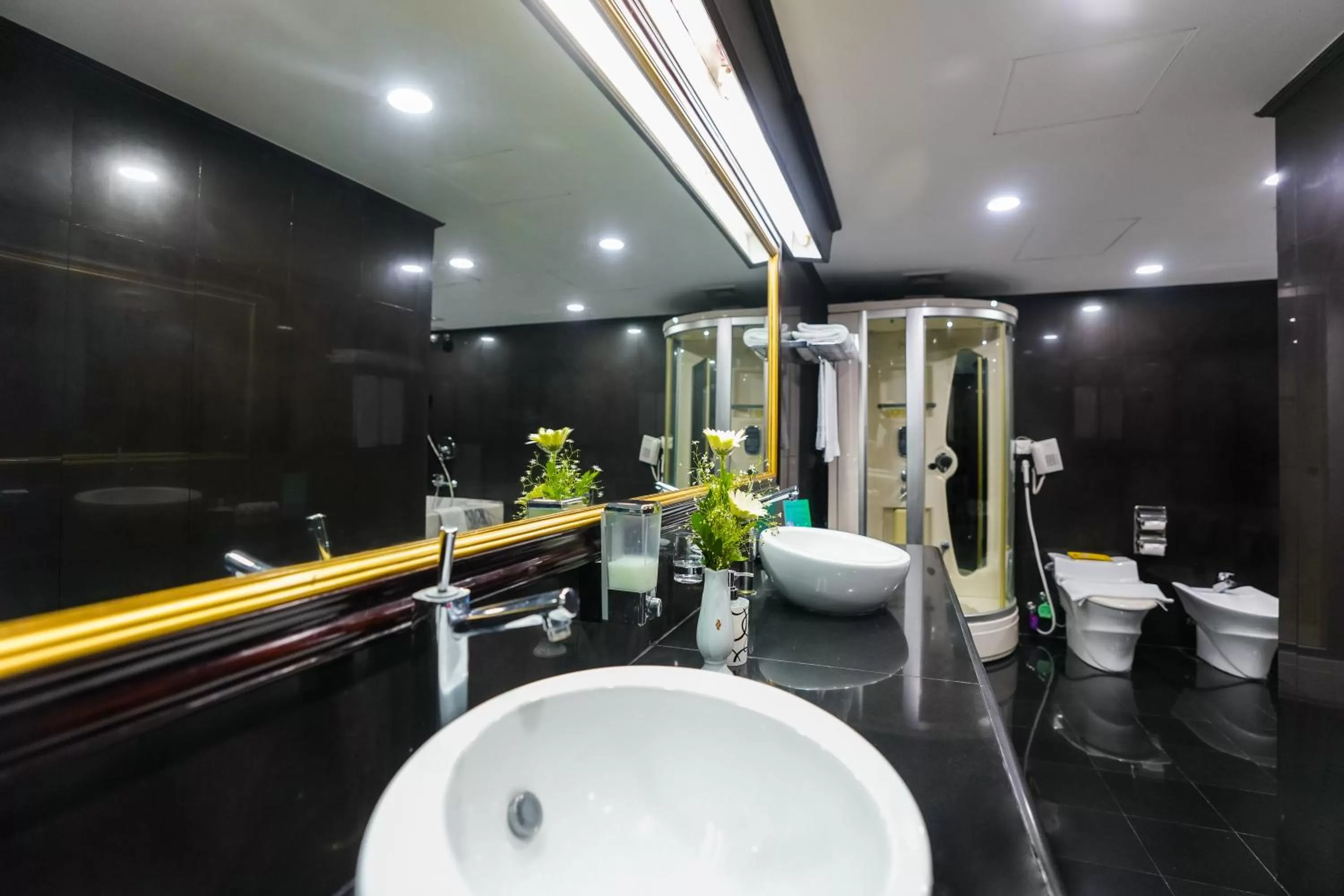 Toilet in Hotel Sarina