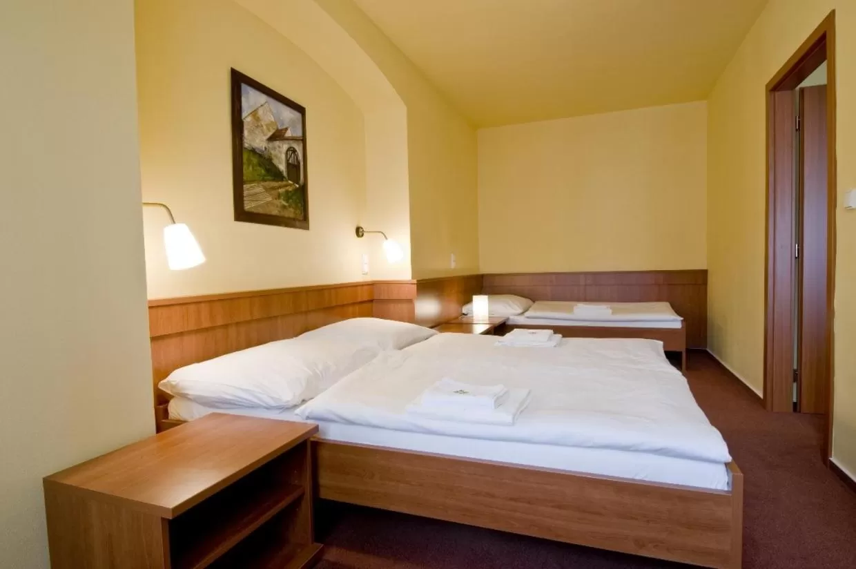 Triple Room in Hotel Zlatá Hvězda