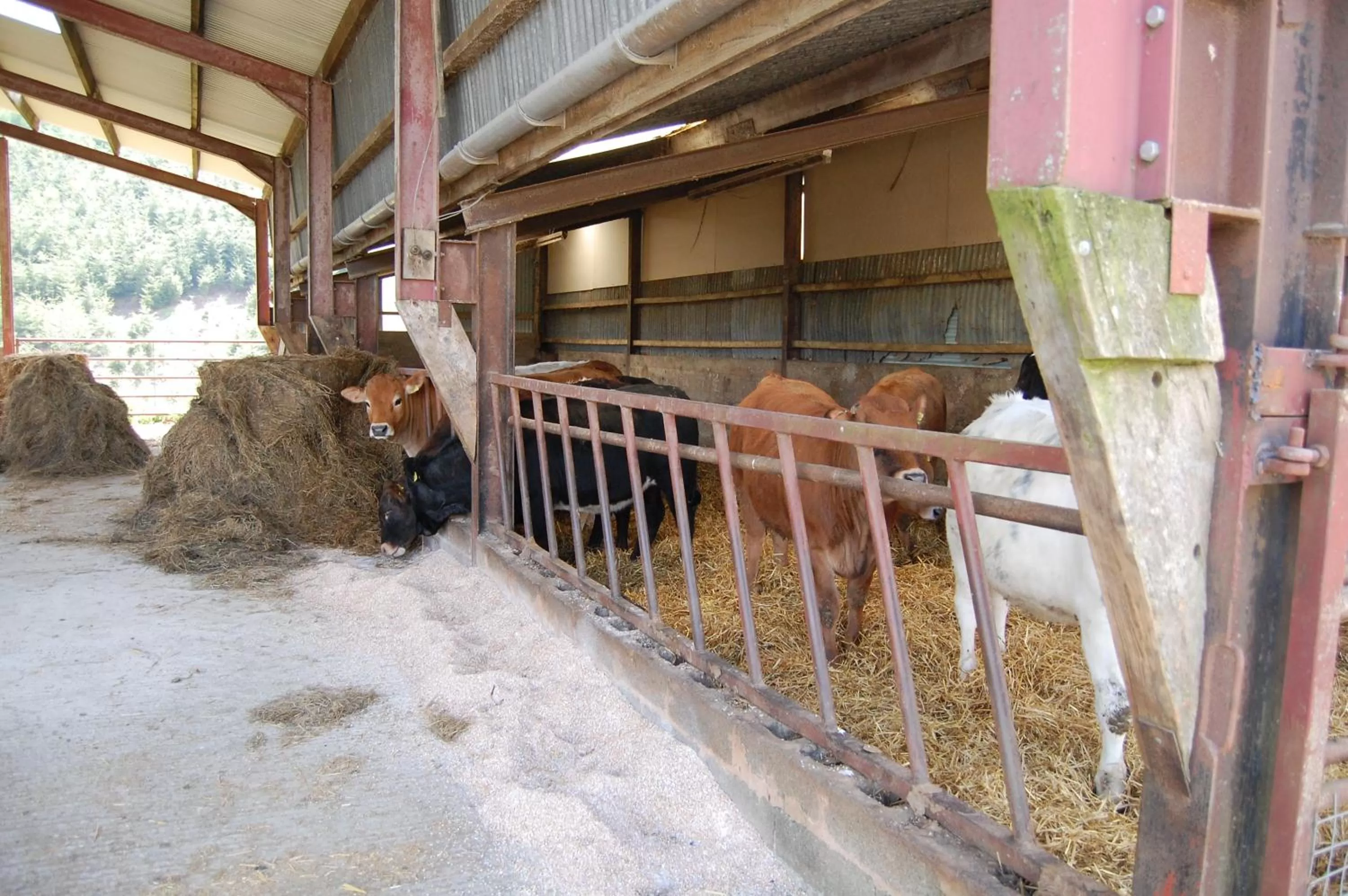 Property building in Middle Woodbatch B&B