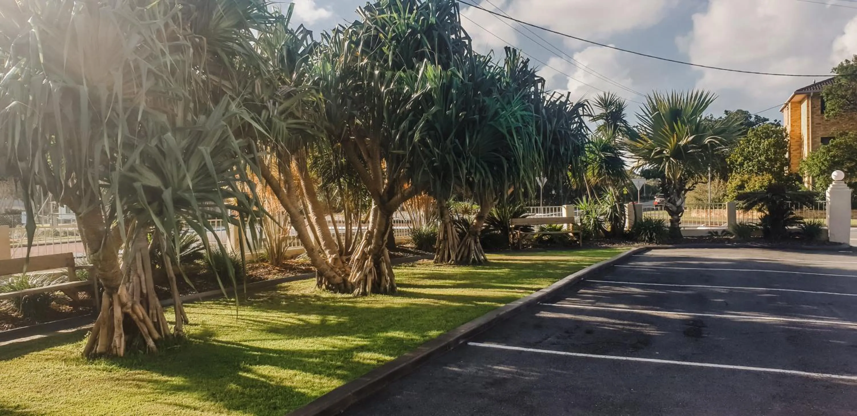 Garden in Pottsville Beach Motel