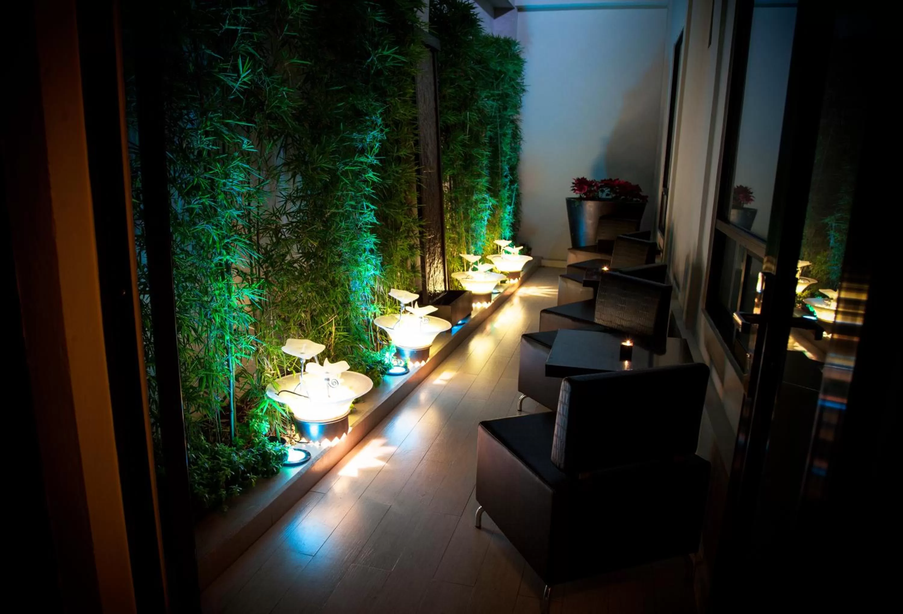 Garden in Plaza Gallery Hotel Boutique