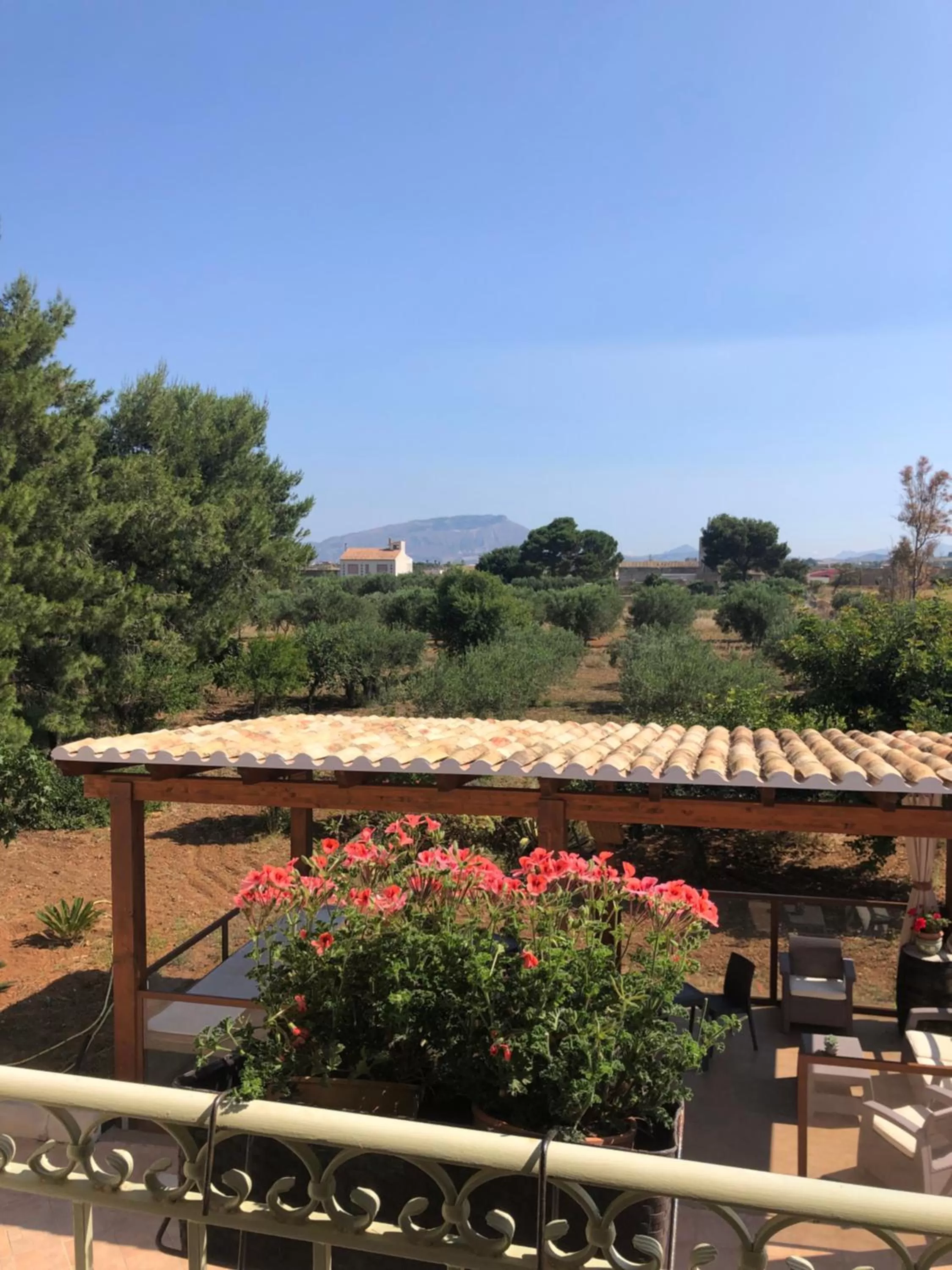 Spring in SiciliAntica