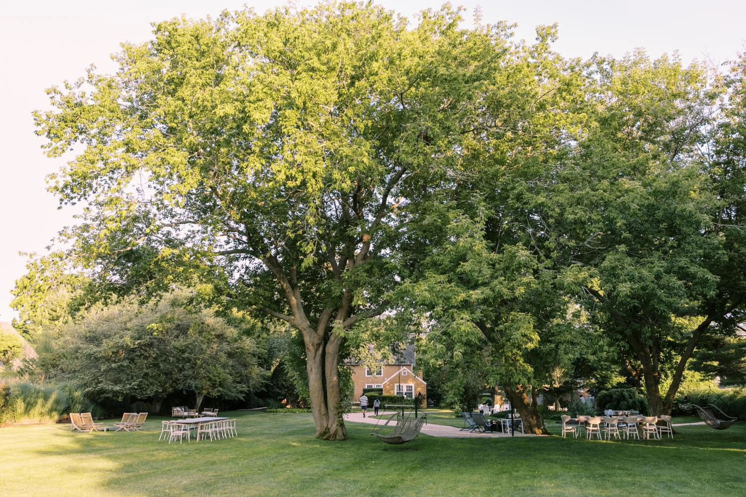 Garden in The Roundtree, Amagansett