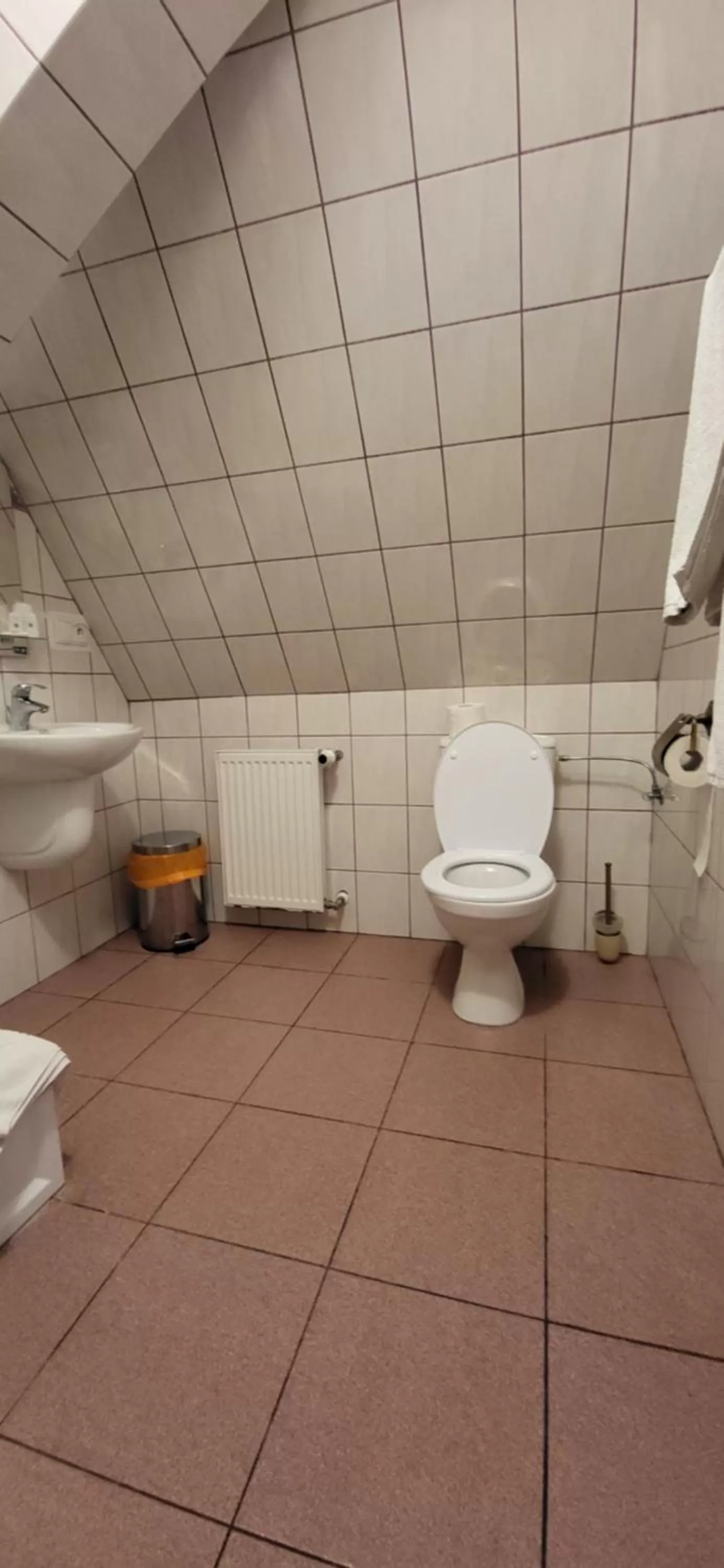 Toilet in Dom Schumannów