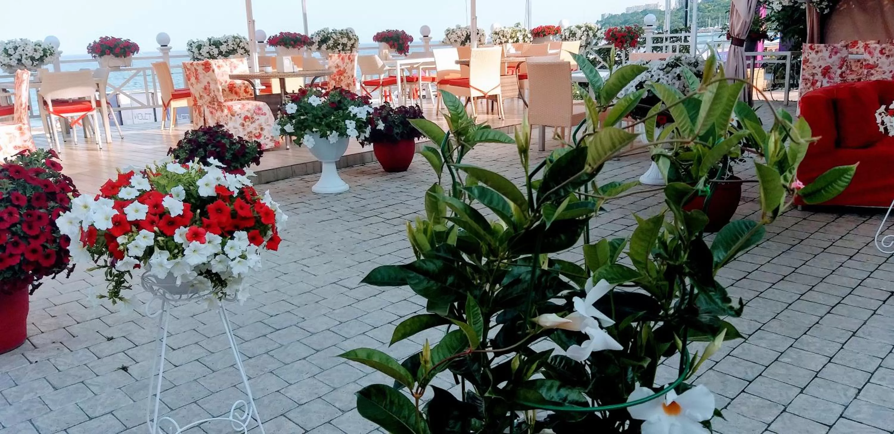 Restaurant/places to eat, Banquet Facilities in Shalanda