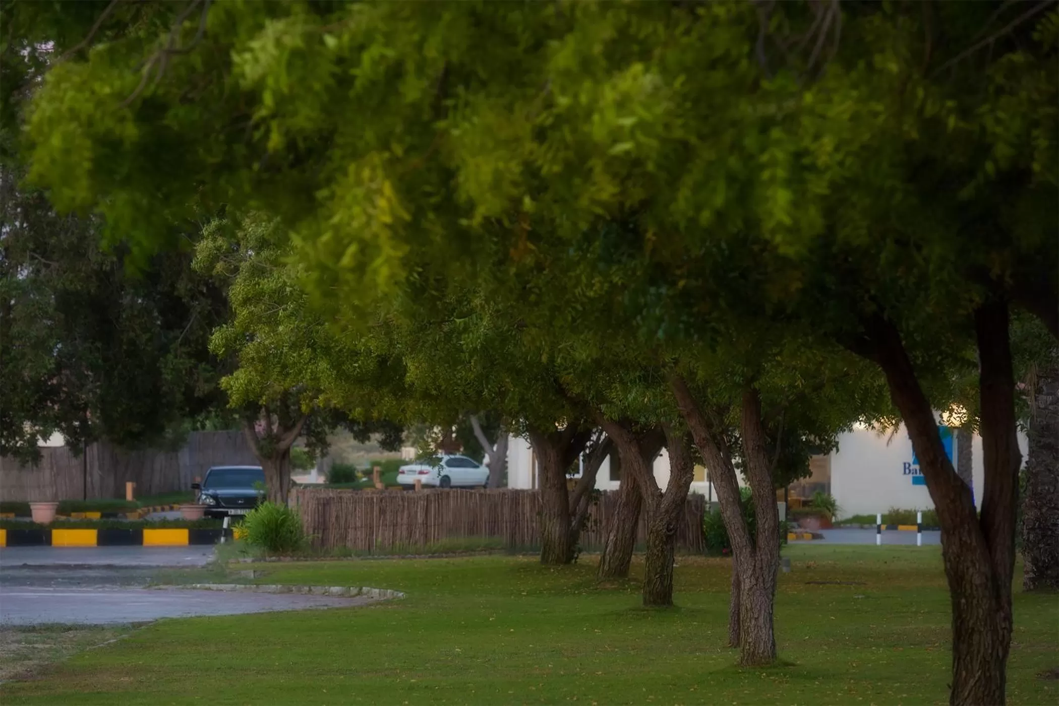 Natural landscape in Barracuda Resort