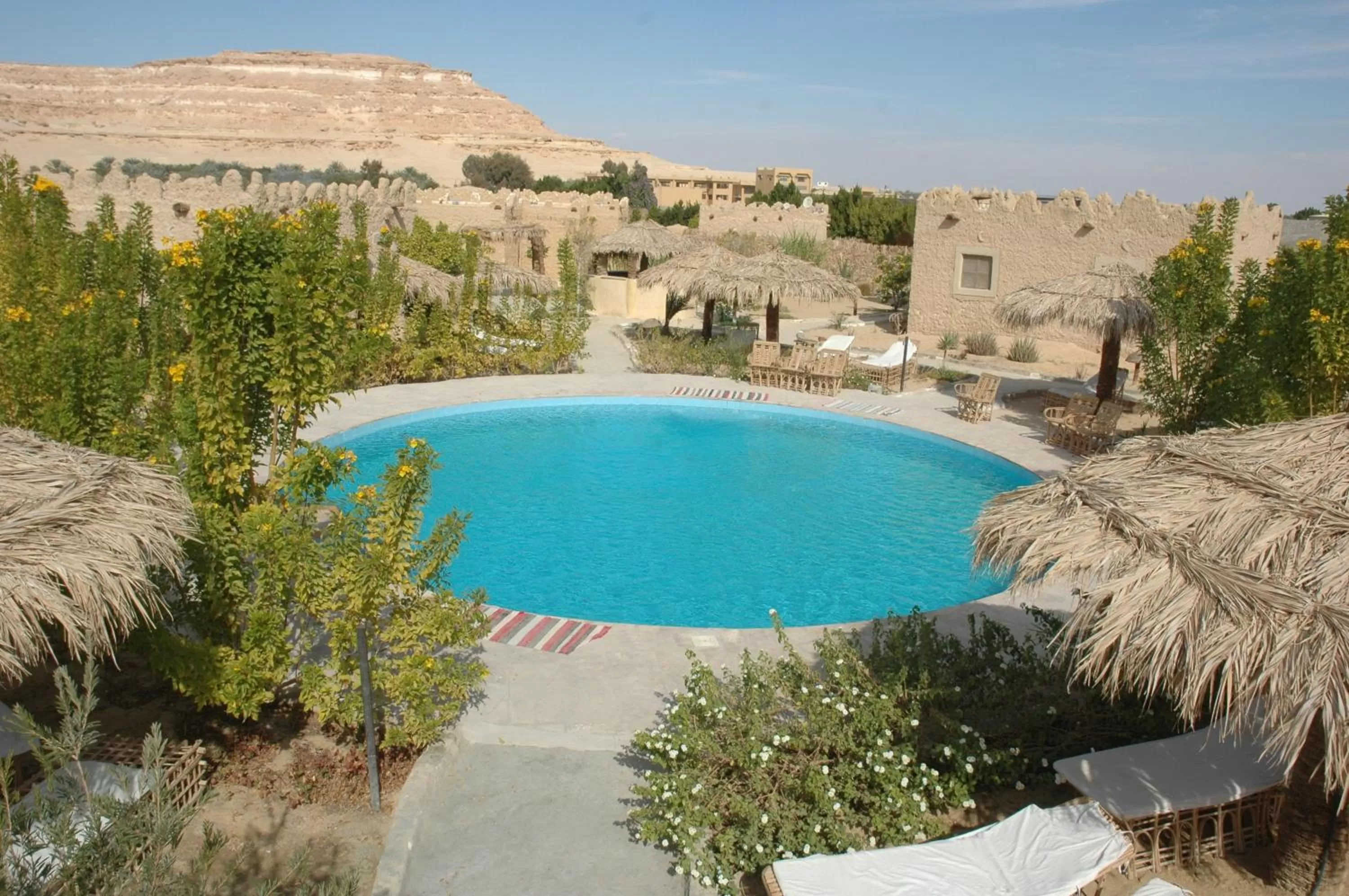 Swimming pool in Siwa Shali Resort